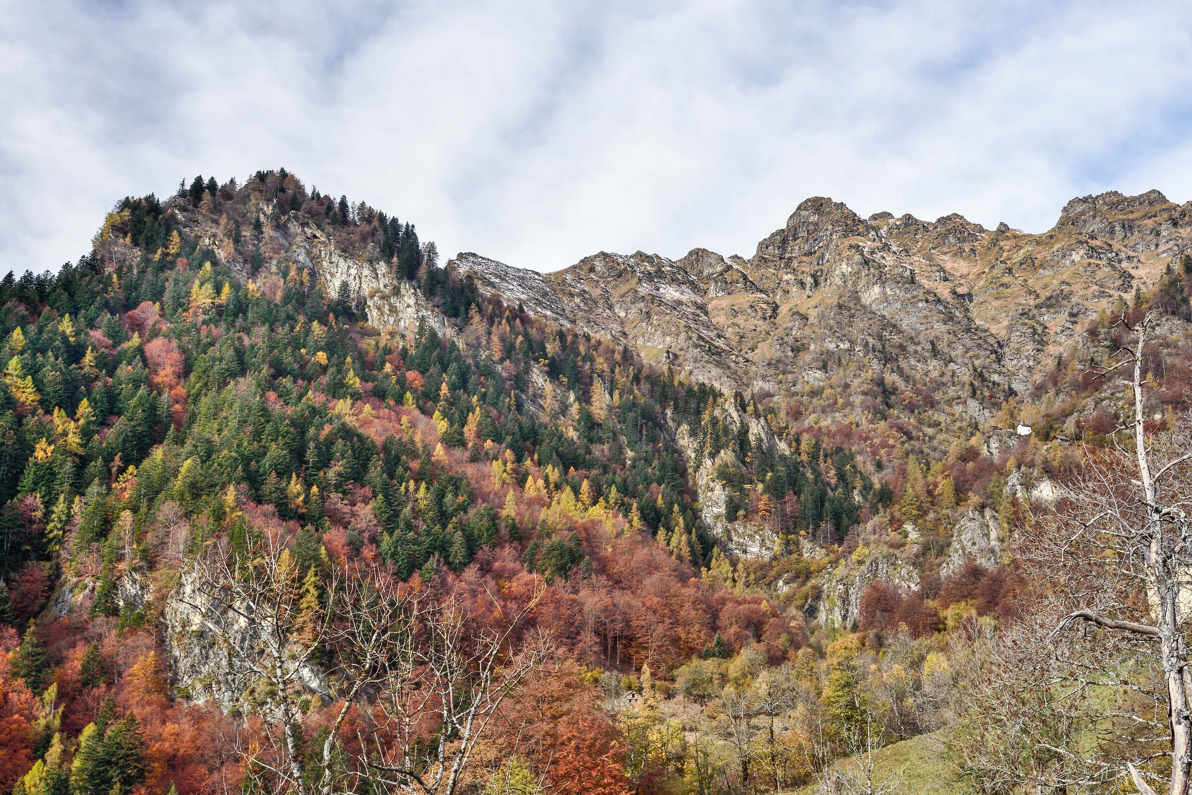 autunno 2020 Val Sesia Val Mastallone