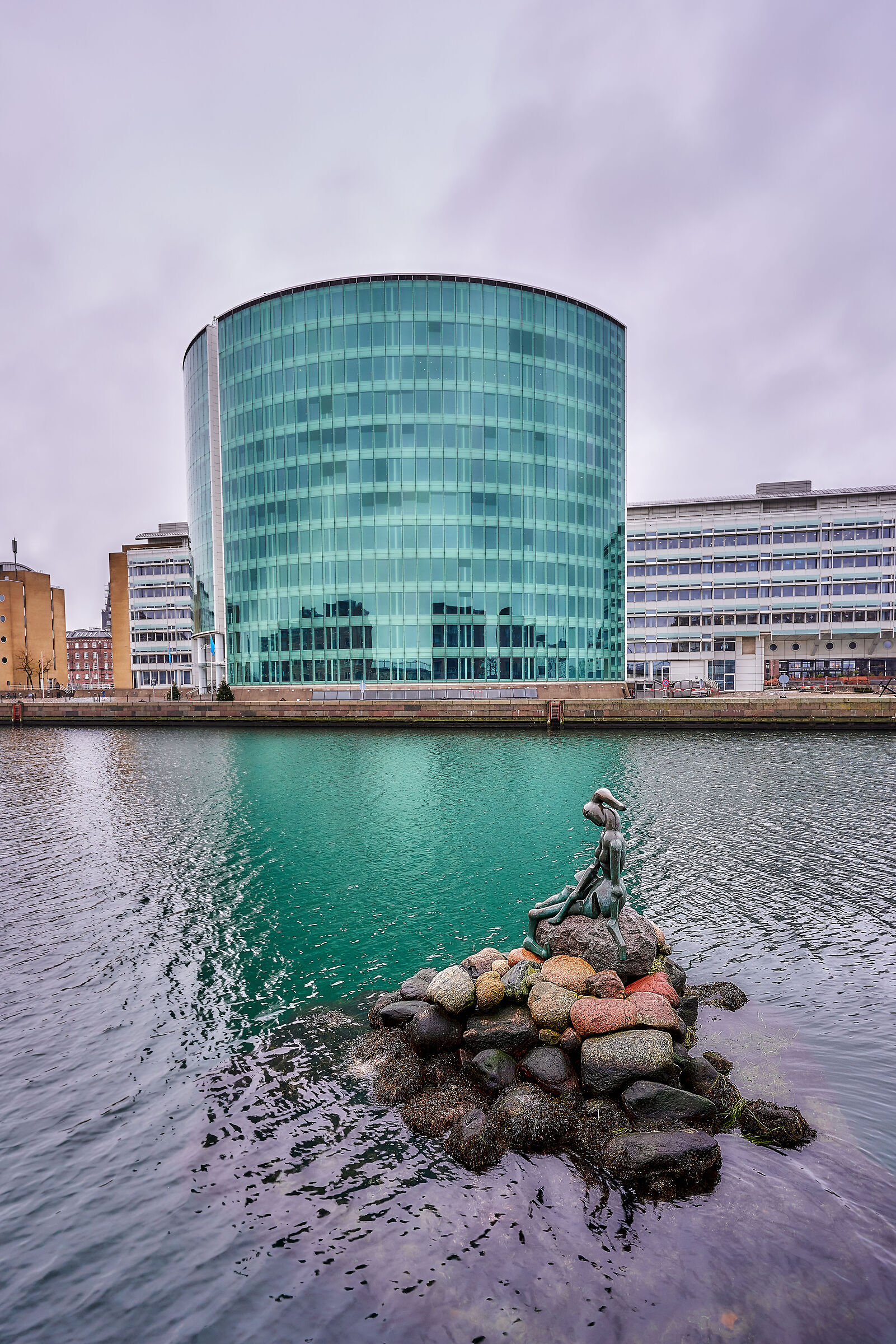 The Genetically Modified Little Mermaid