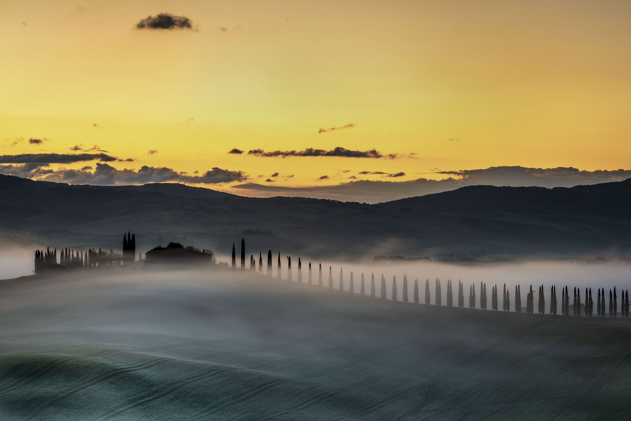 How green was my valley