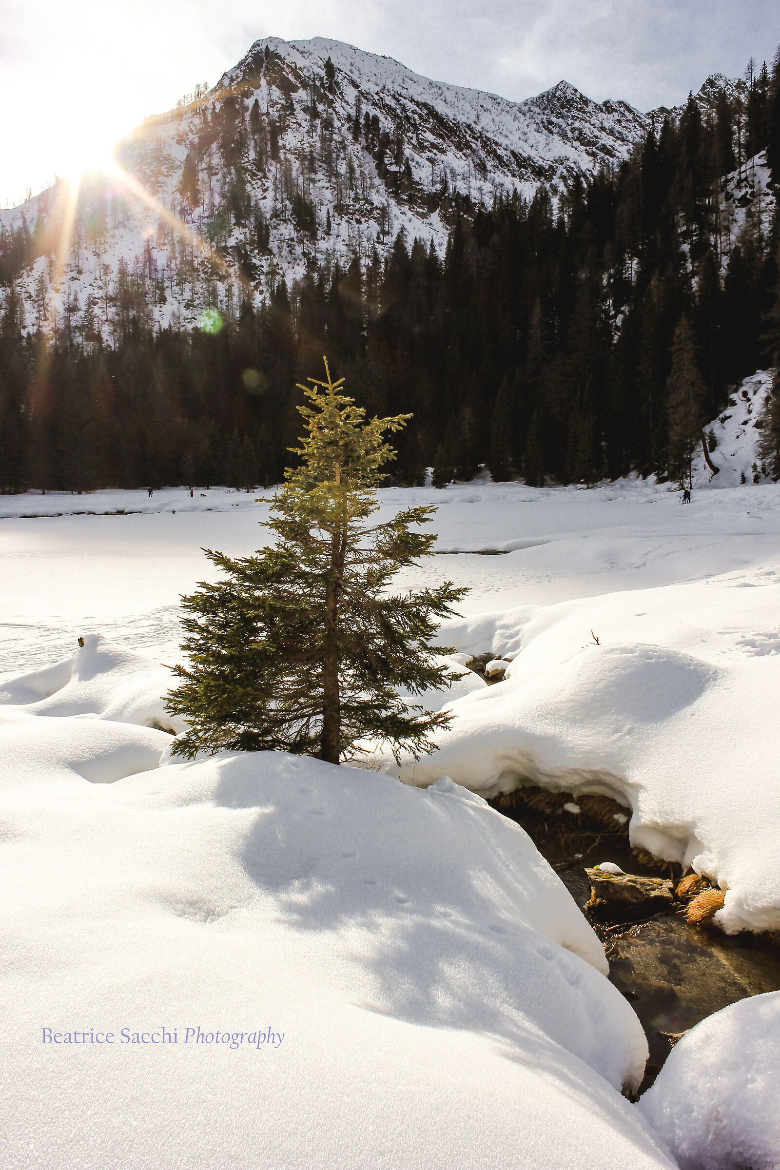 Baciato dal sole invernale