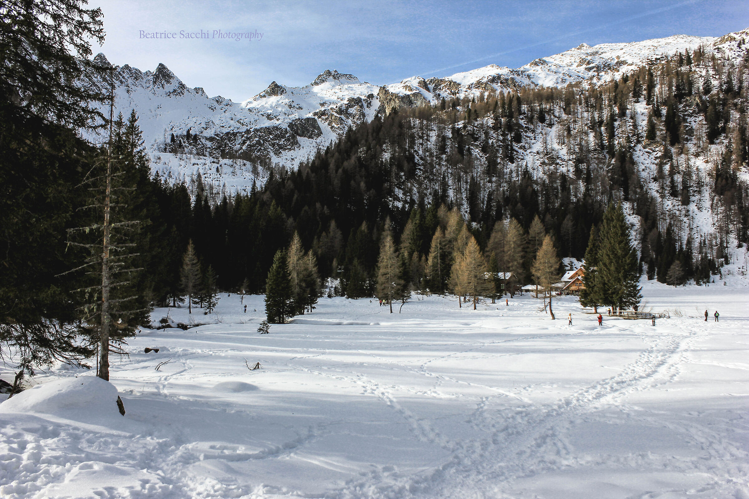 Montagne e zucchero a velo