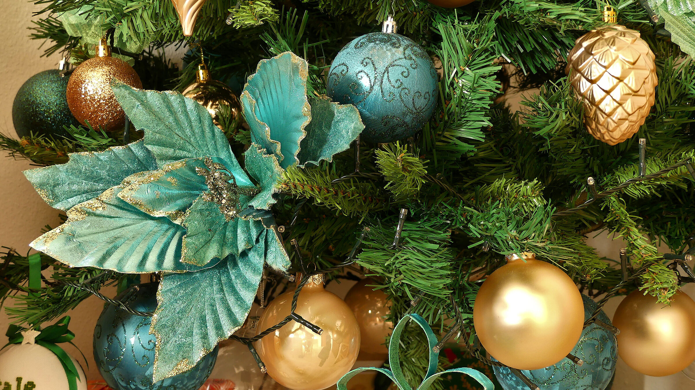 Pre-hibernation decorations