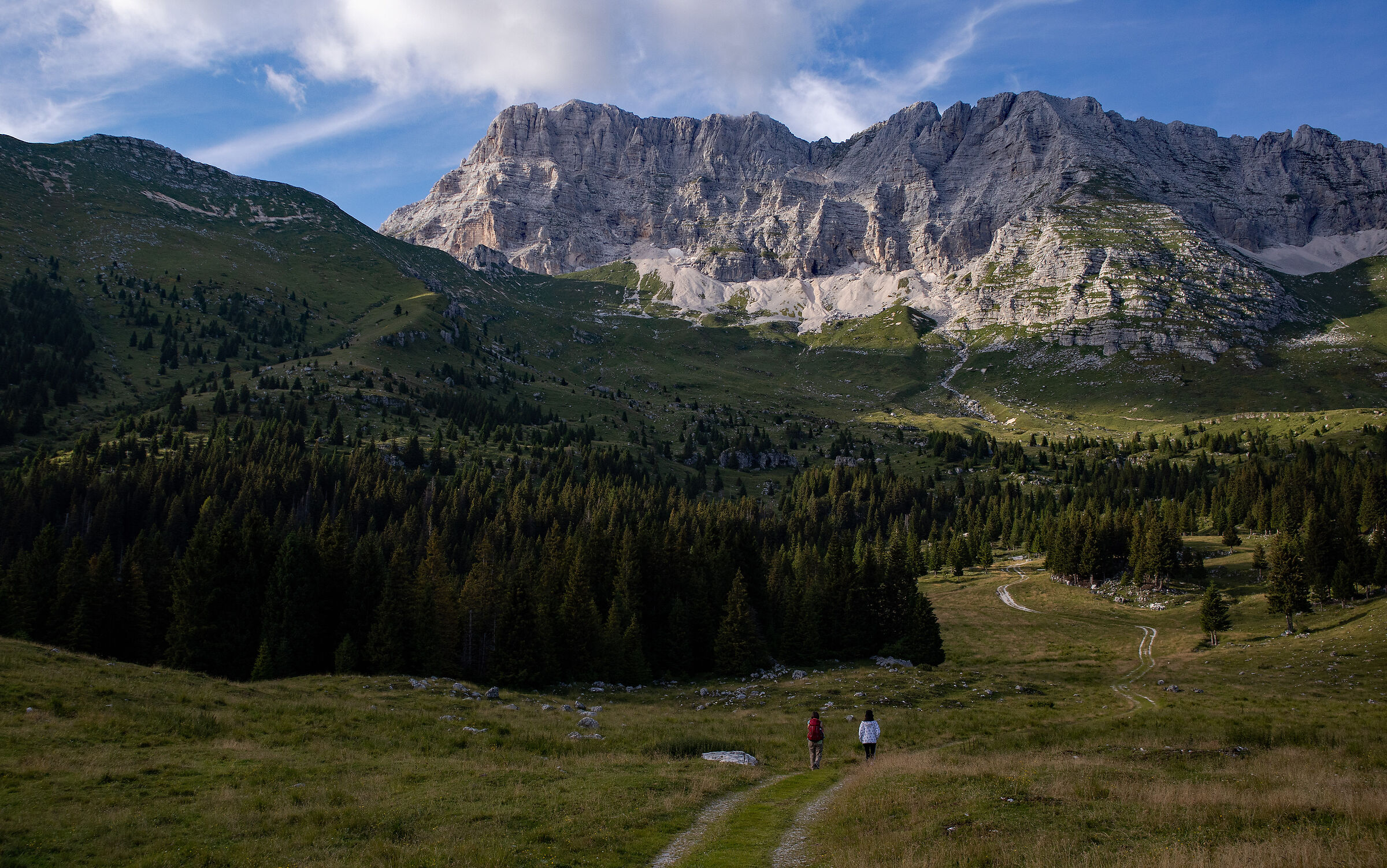 Montasio (Italy)