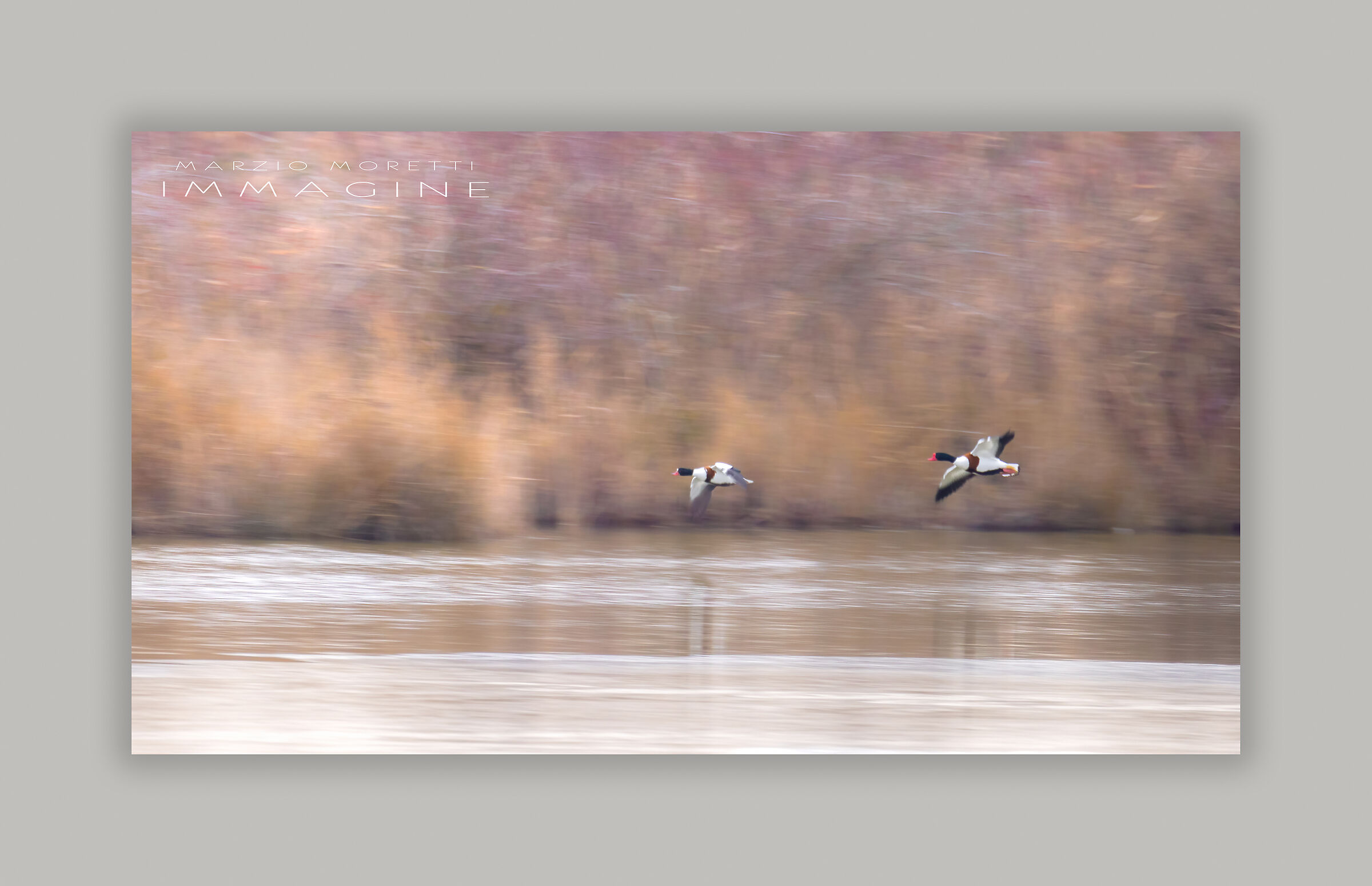 Panning su Volpoche (valle Canal Novo Marano Lagunare)