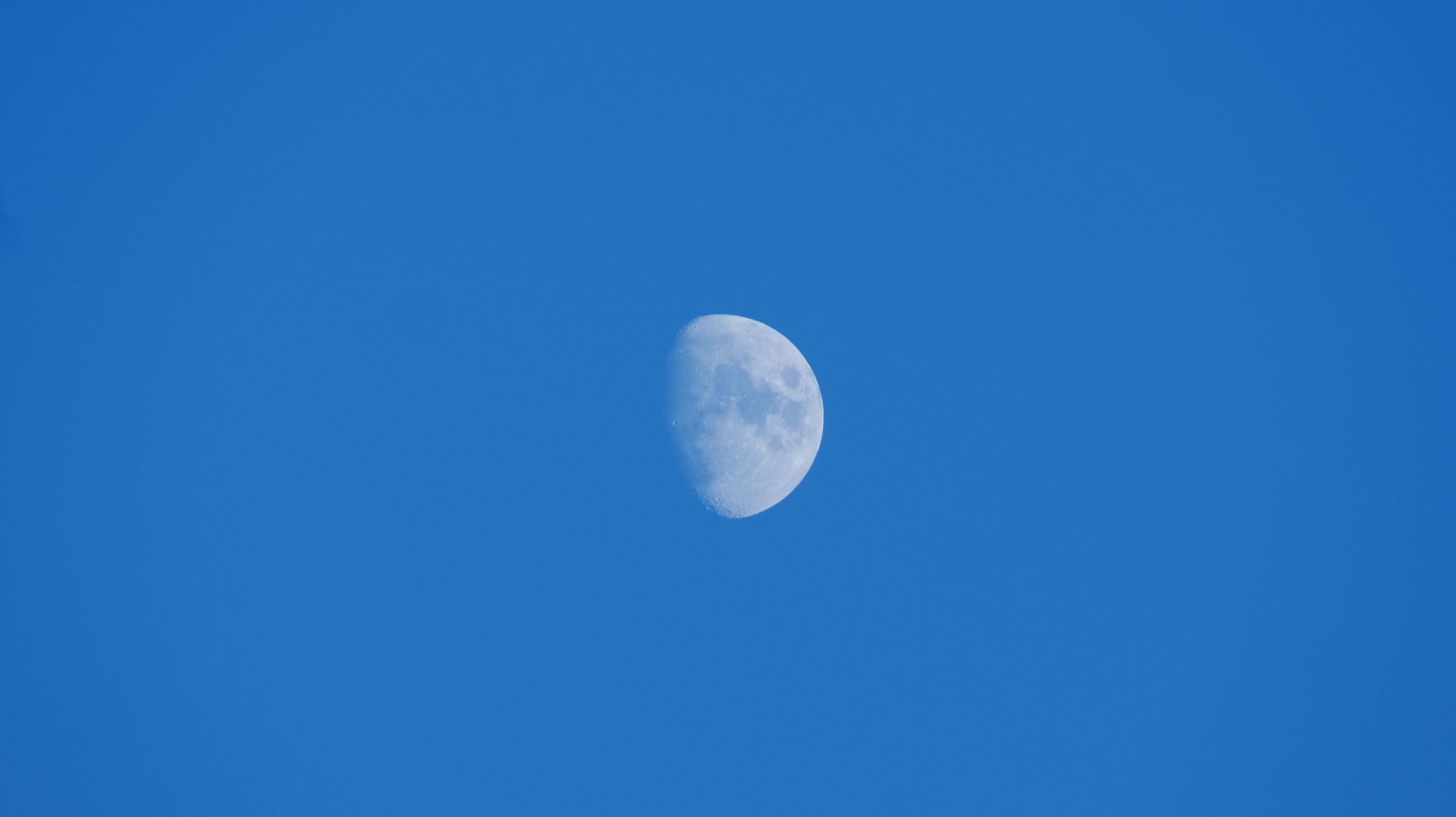 Untitled Photo