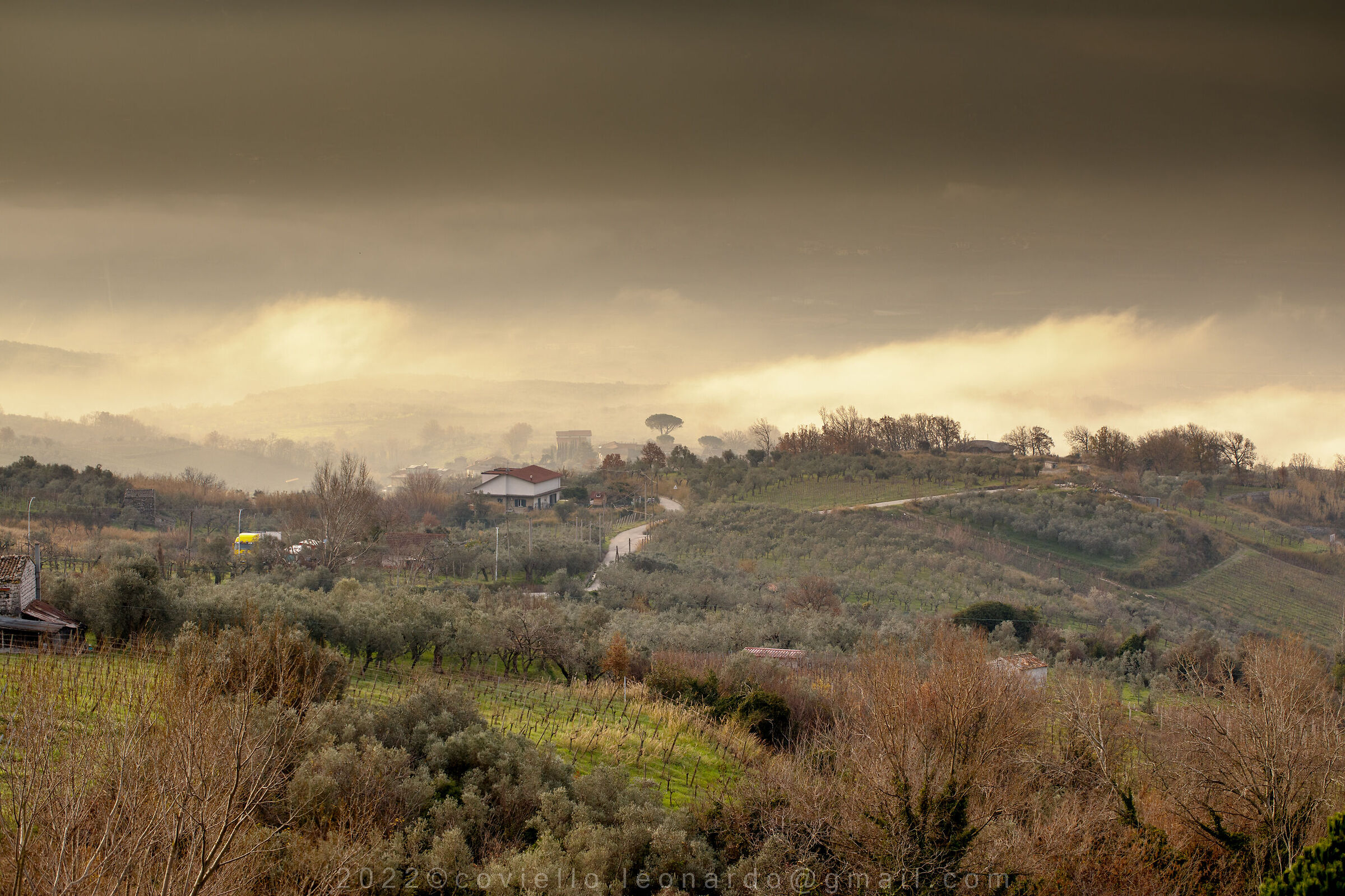 a bit of haze on the vineyards