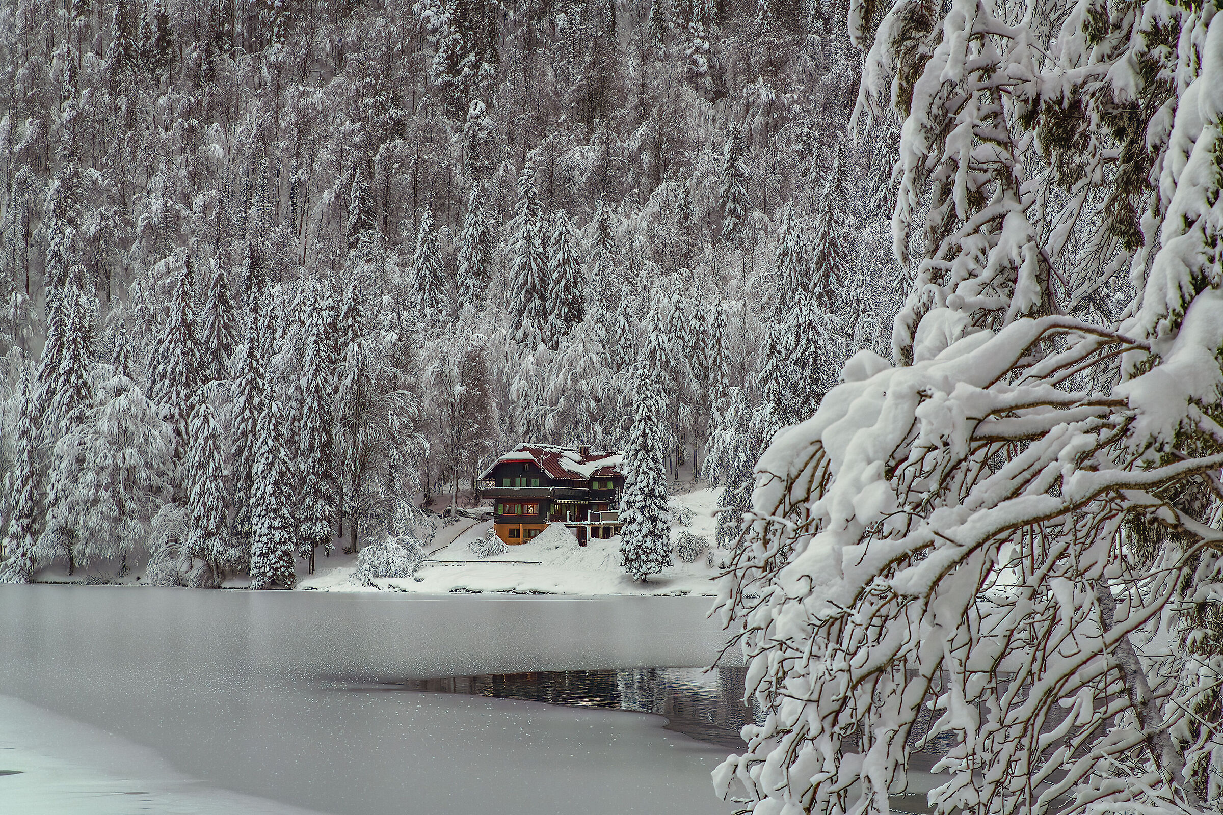 La casa nel bosco innevato