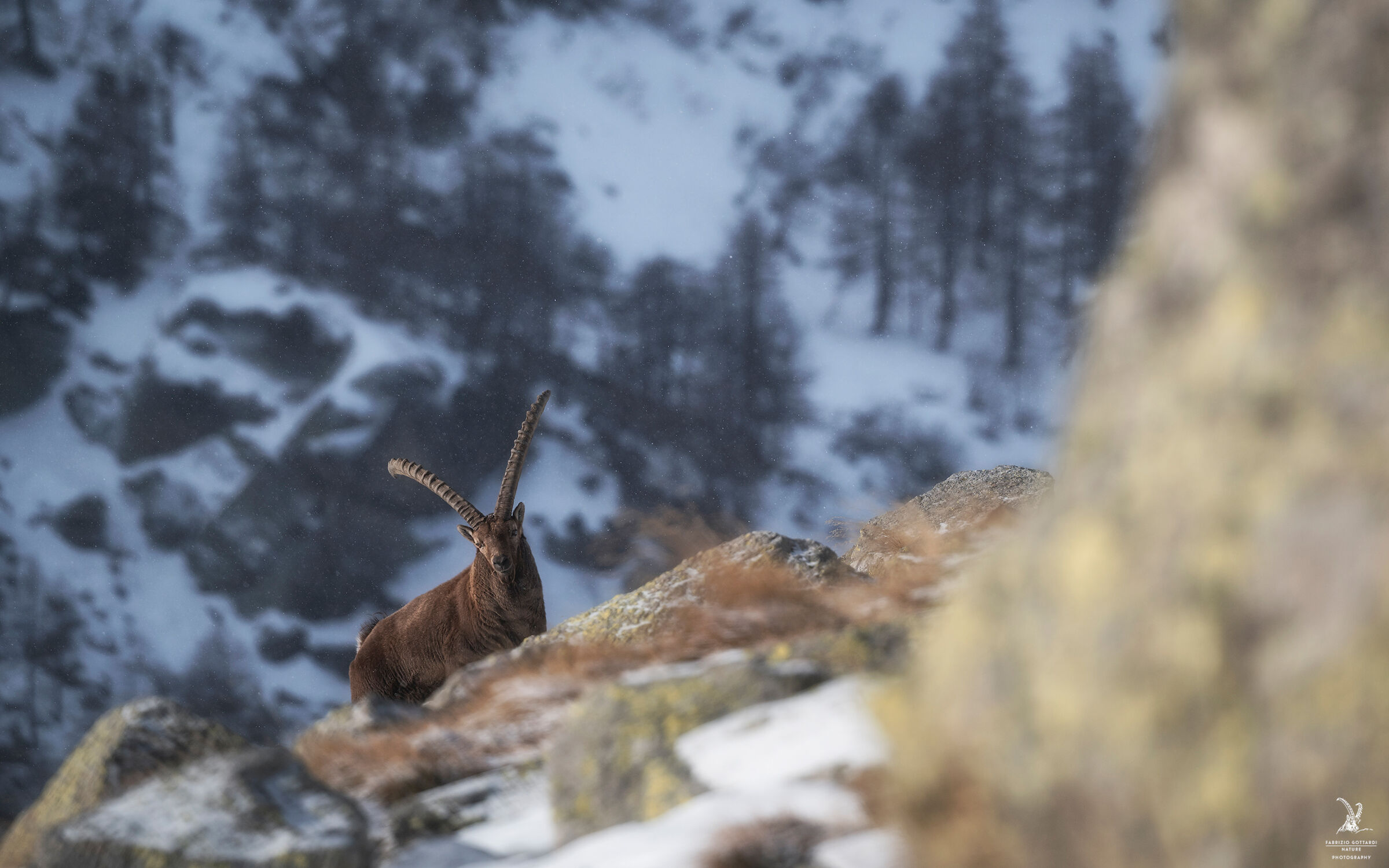 Between Sun and Snow