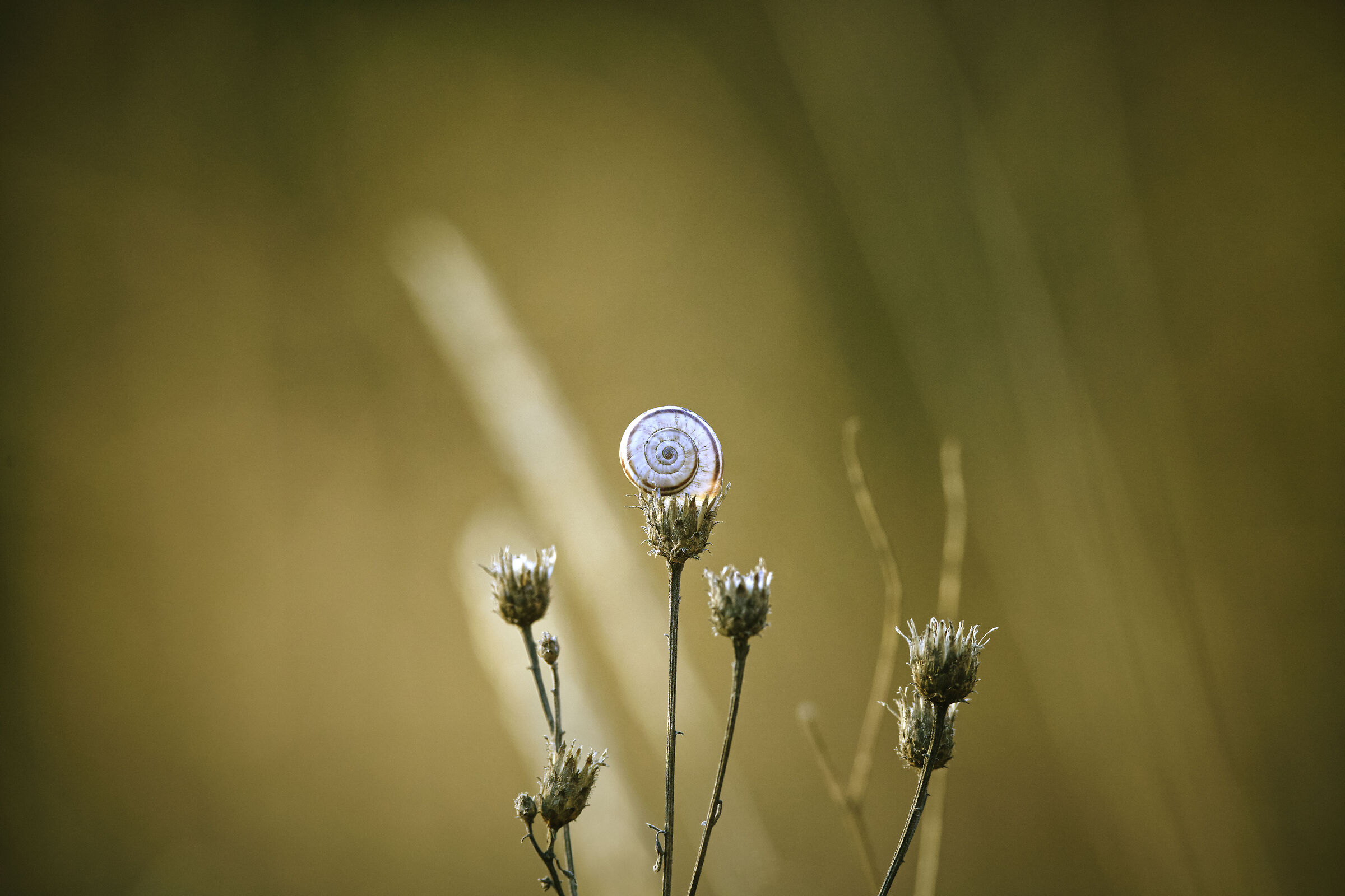 Untitled Photo