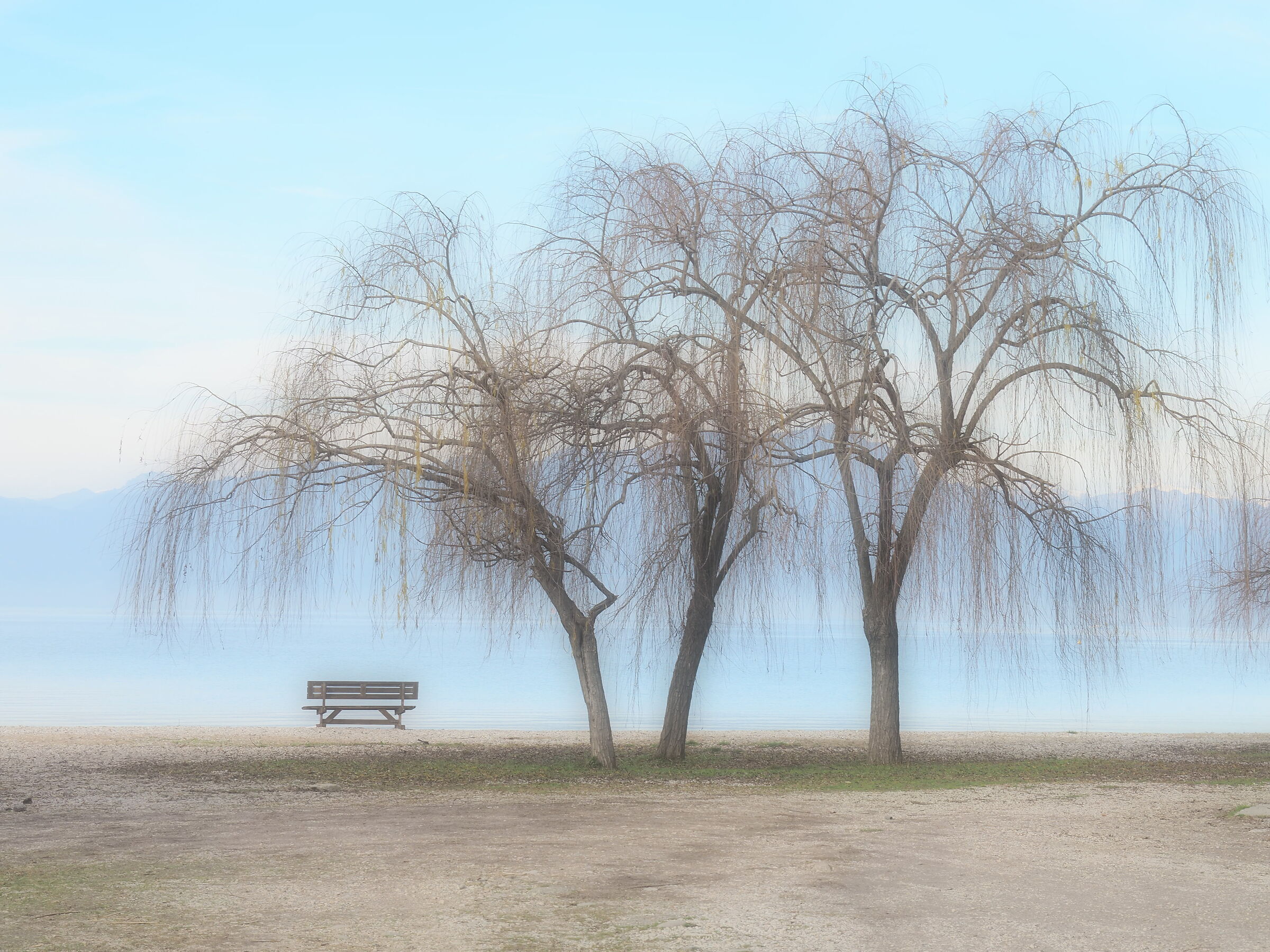 L'ombra insicura del ricordo