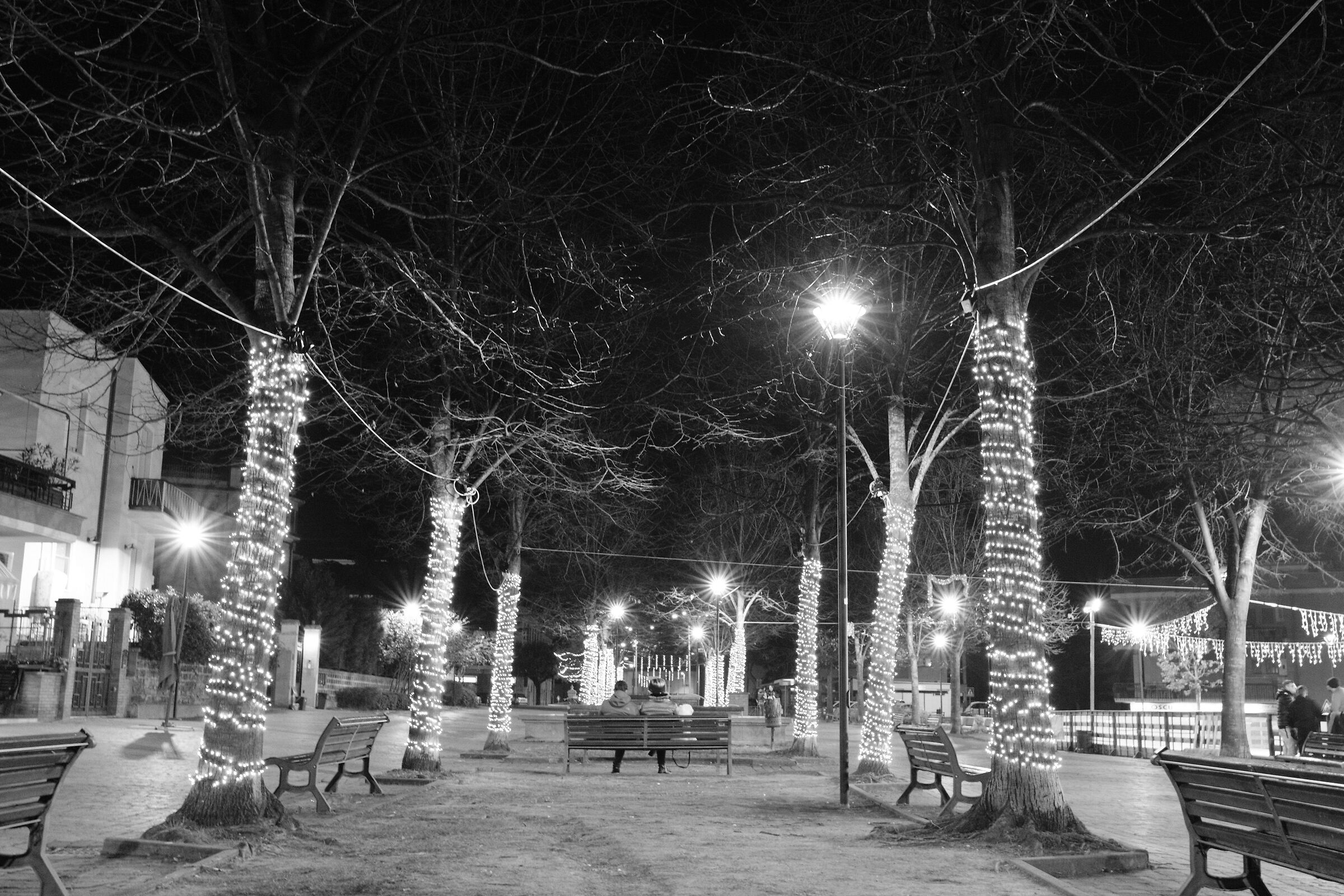 Winter evening