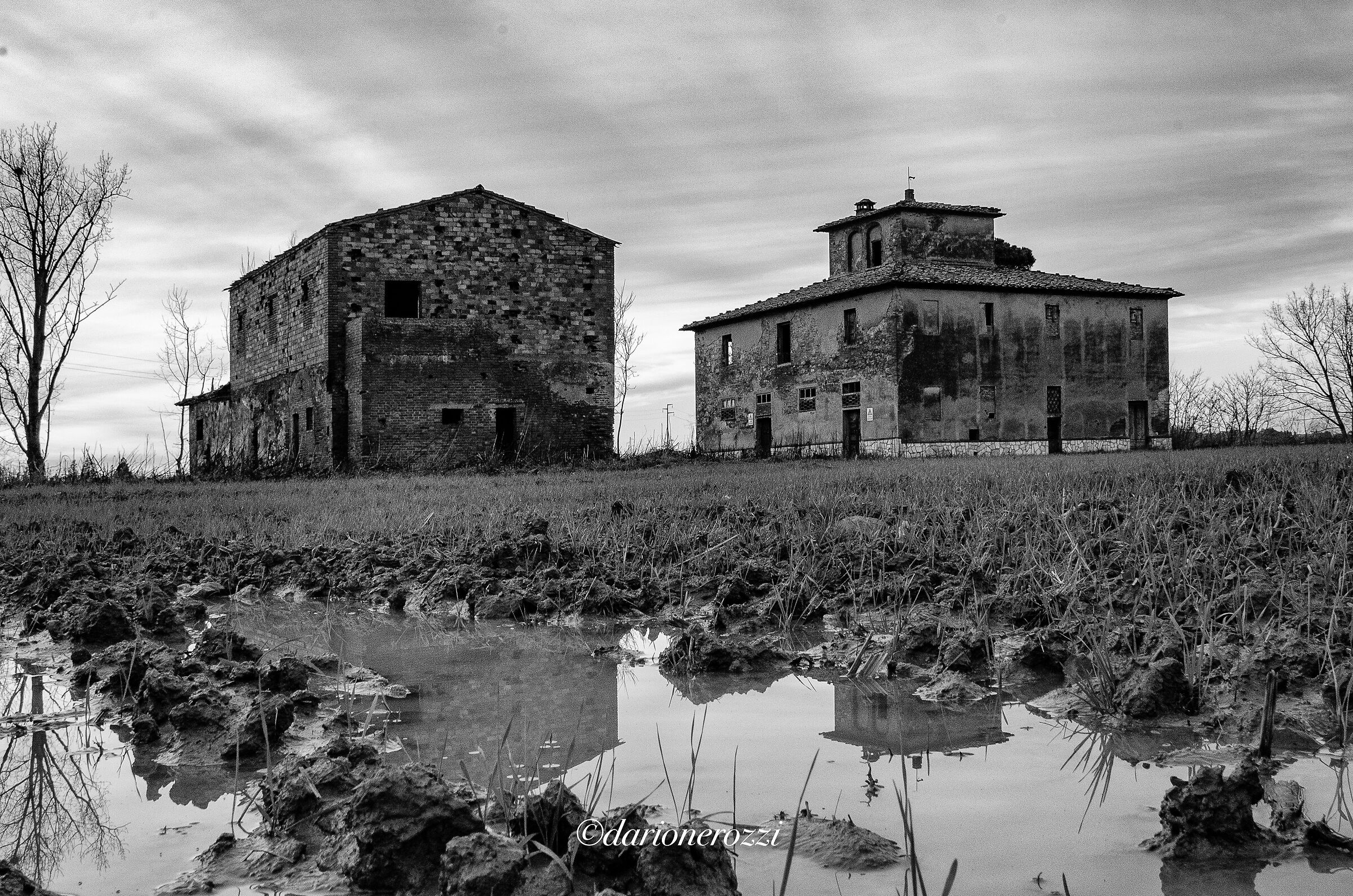 Leopoldina. Valdichiana Senese