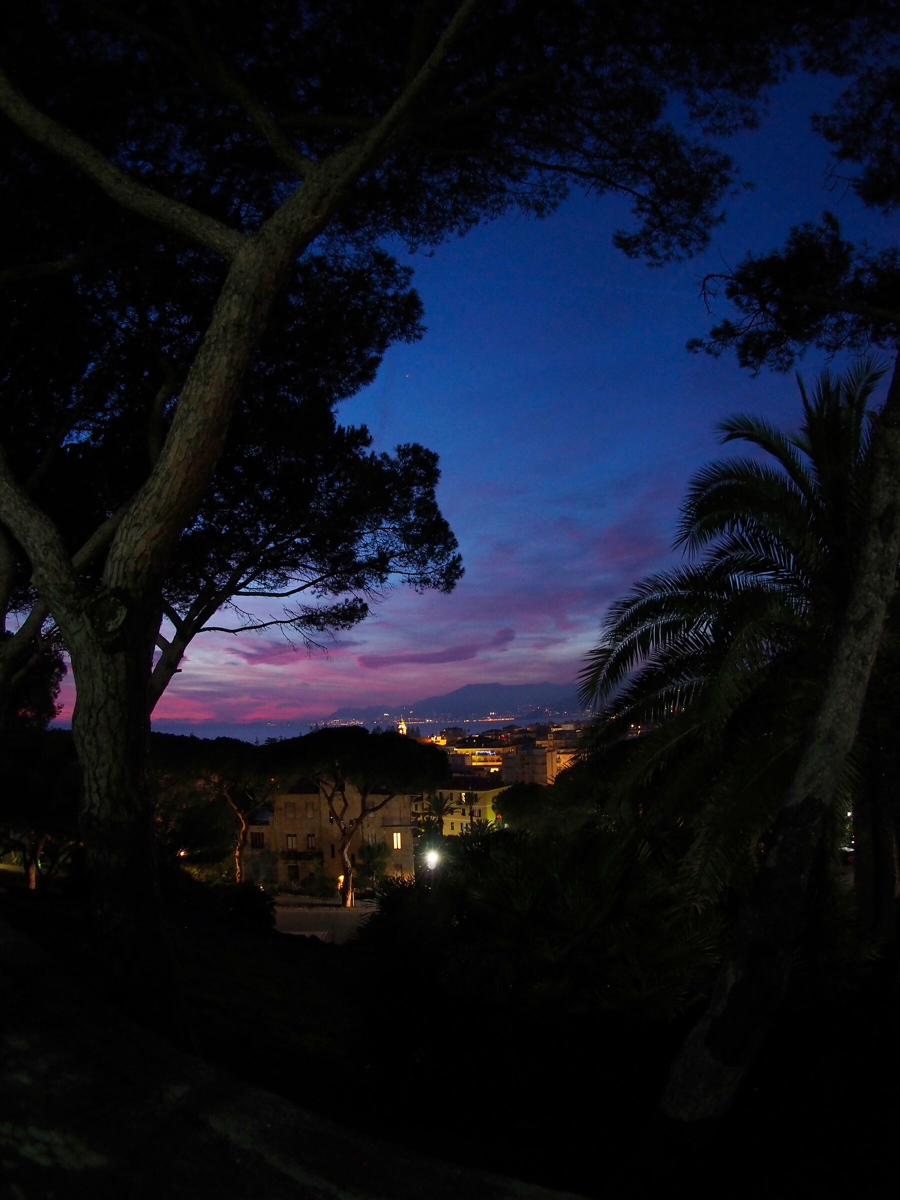scorcio di Bordighera