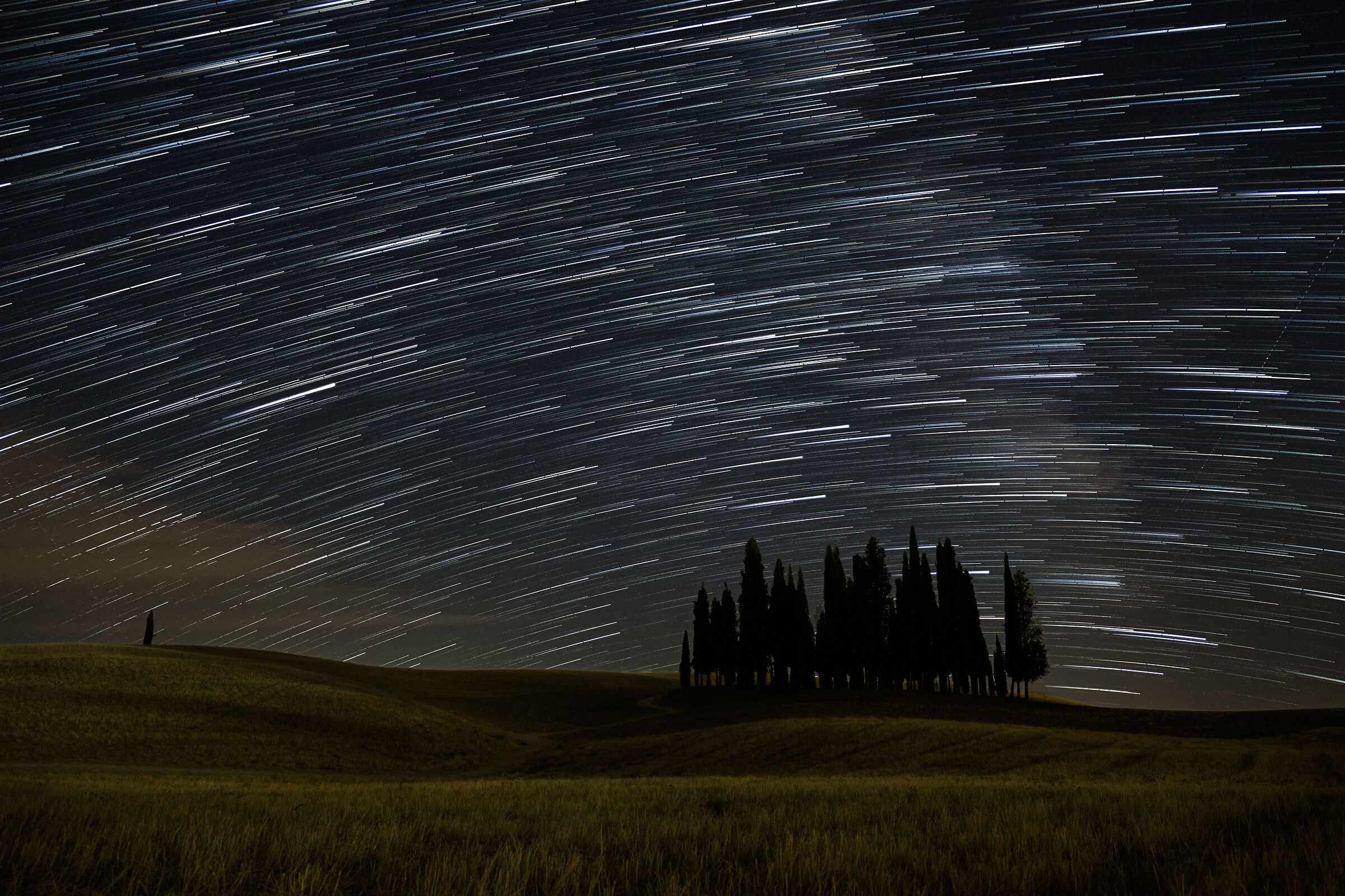 Cypresses and Stars