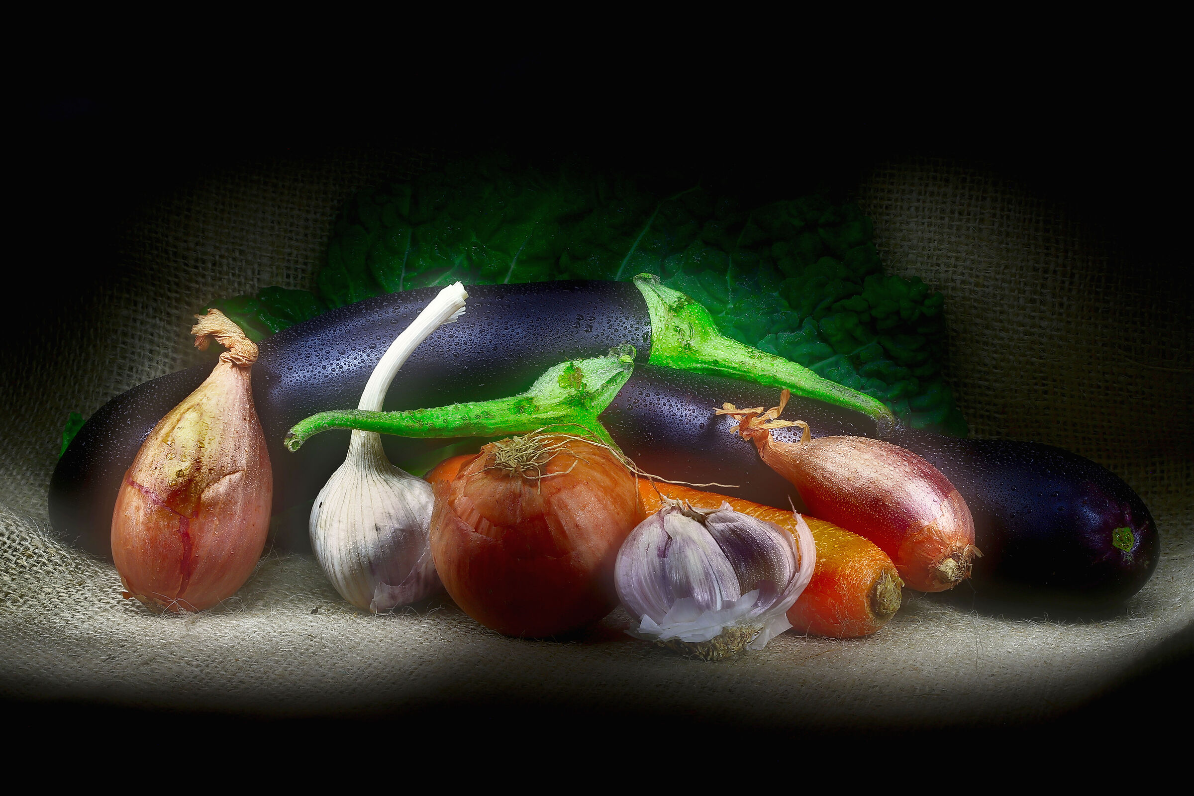 the colors of the garden