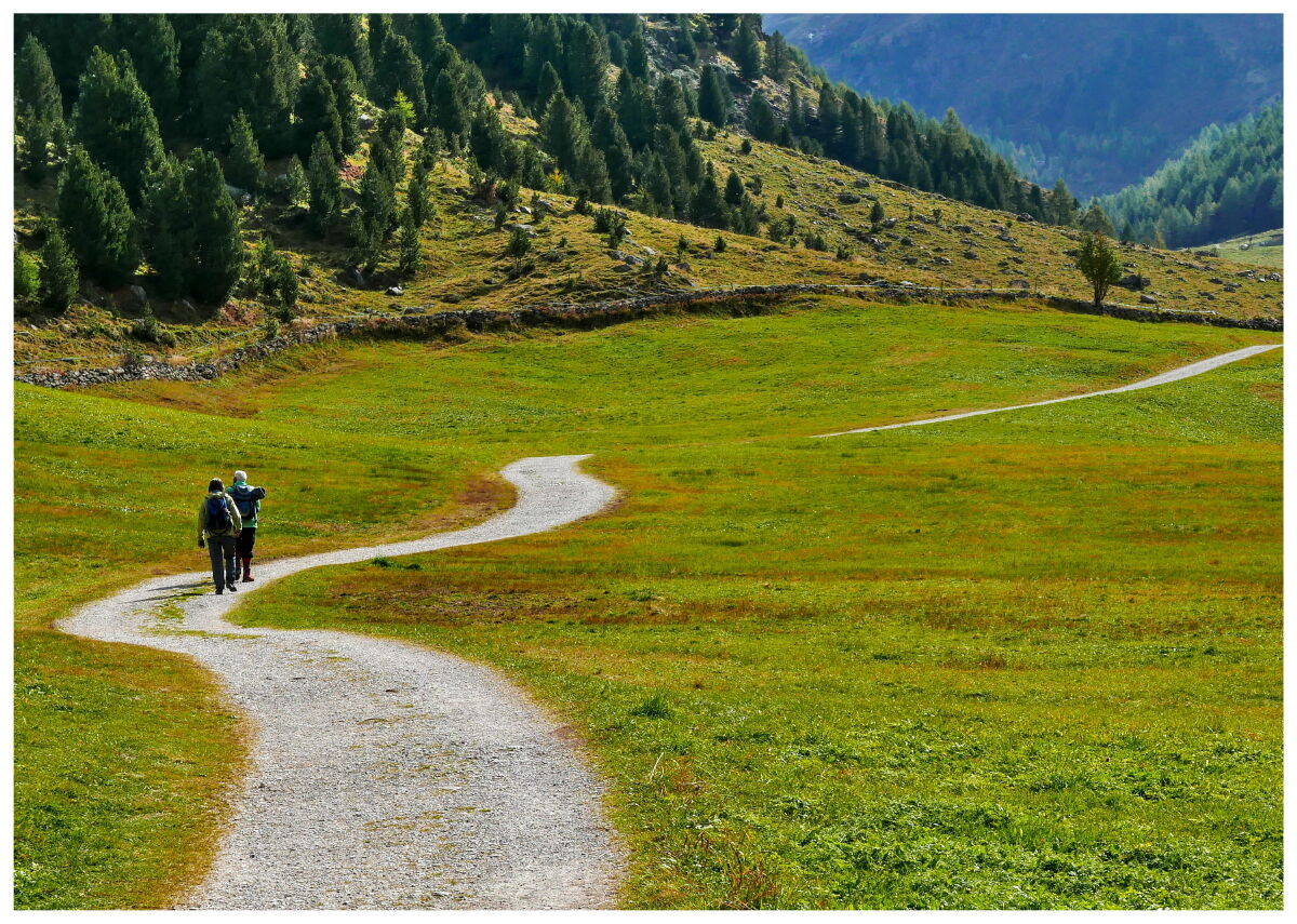 Vallelunga - Curon Venosta