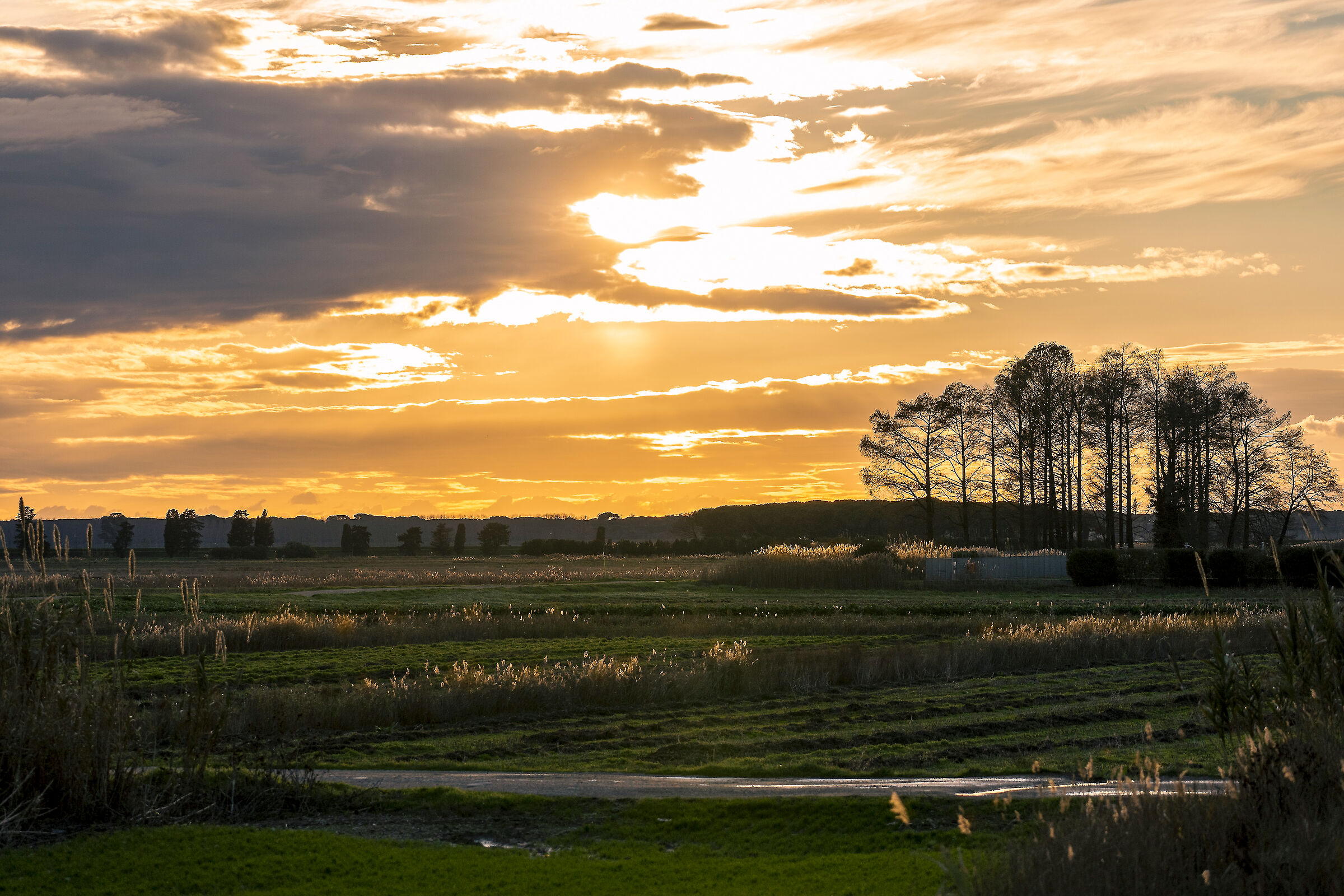 Tuscan sunset part 2