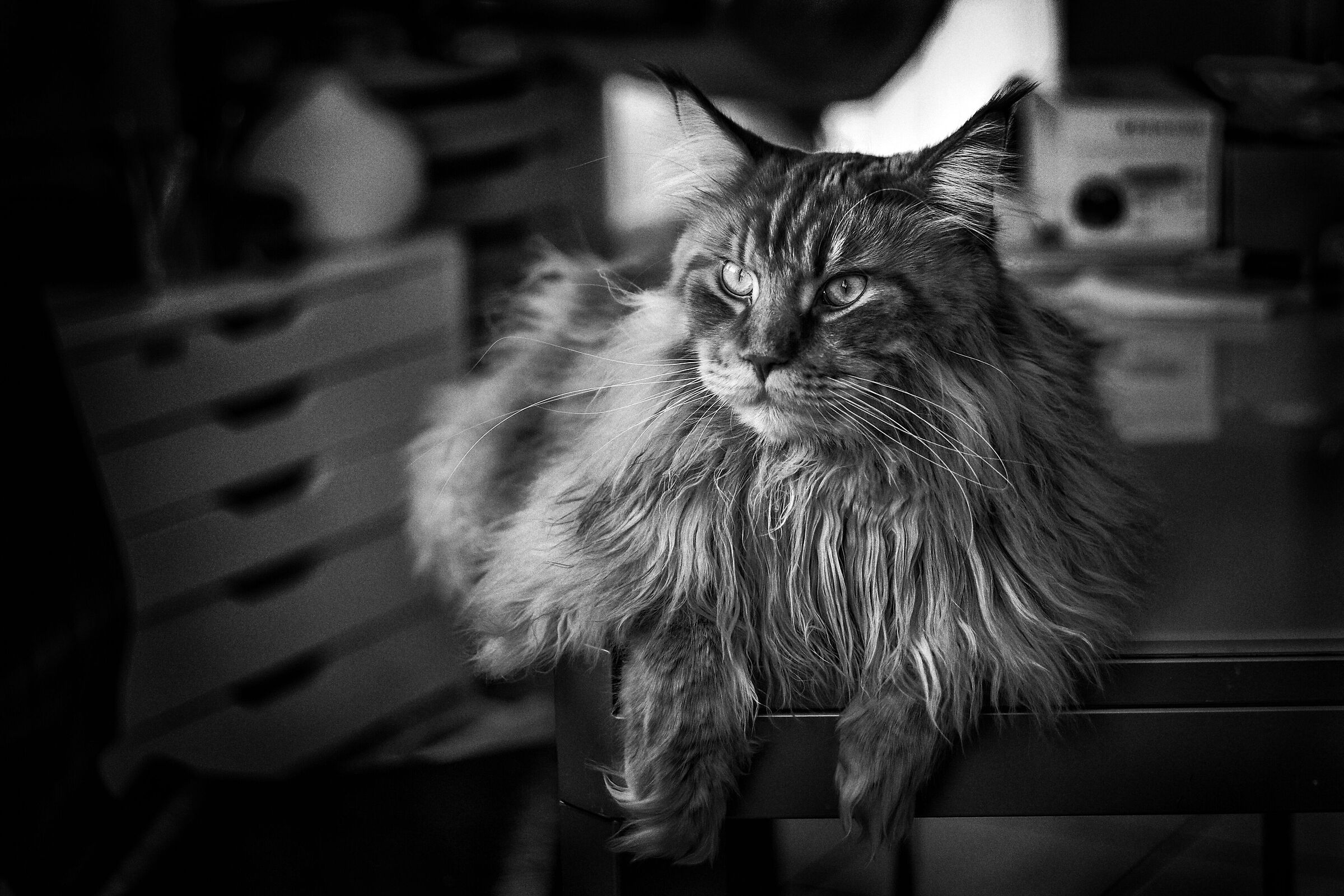 Firestorm X-Land.... per noi Theodore