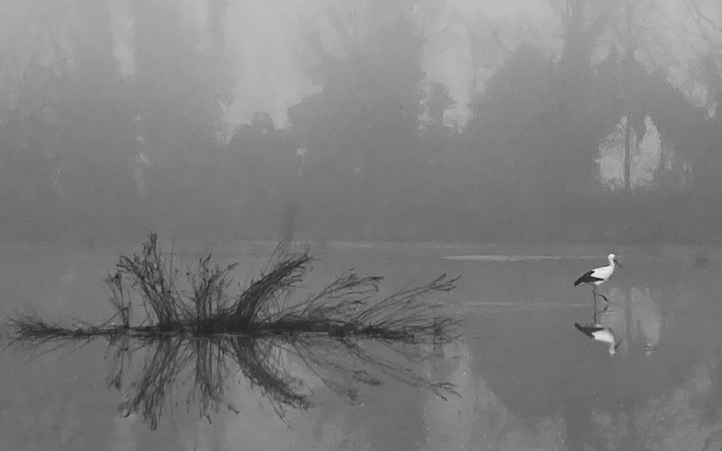 A painter's brushstroke