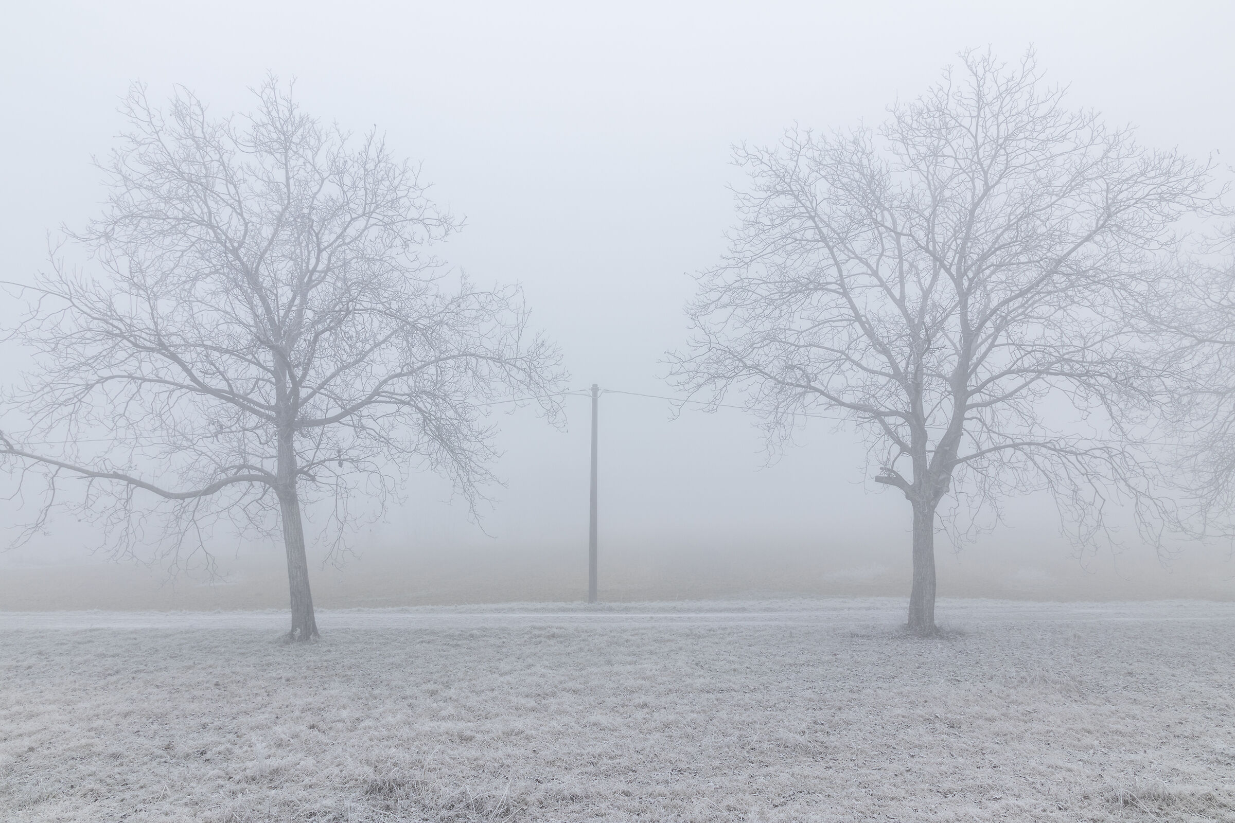 Modena Plain - Winter