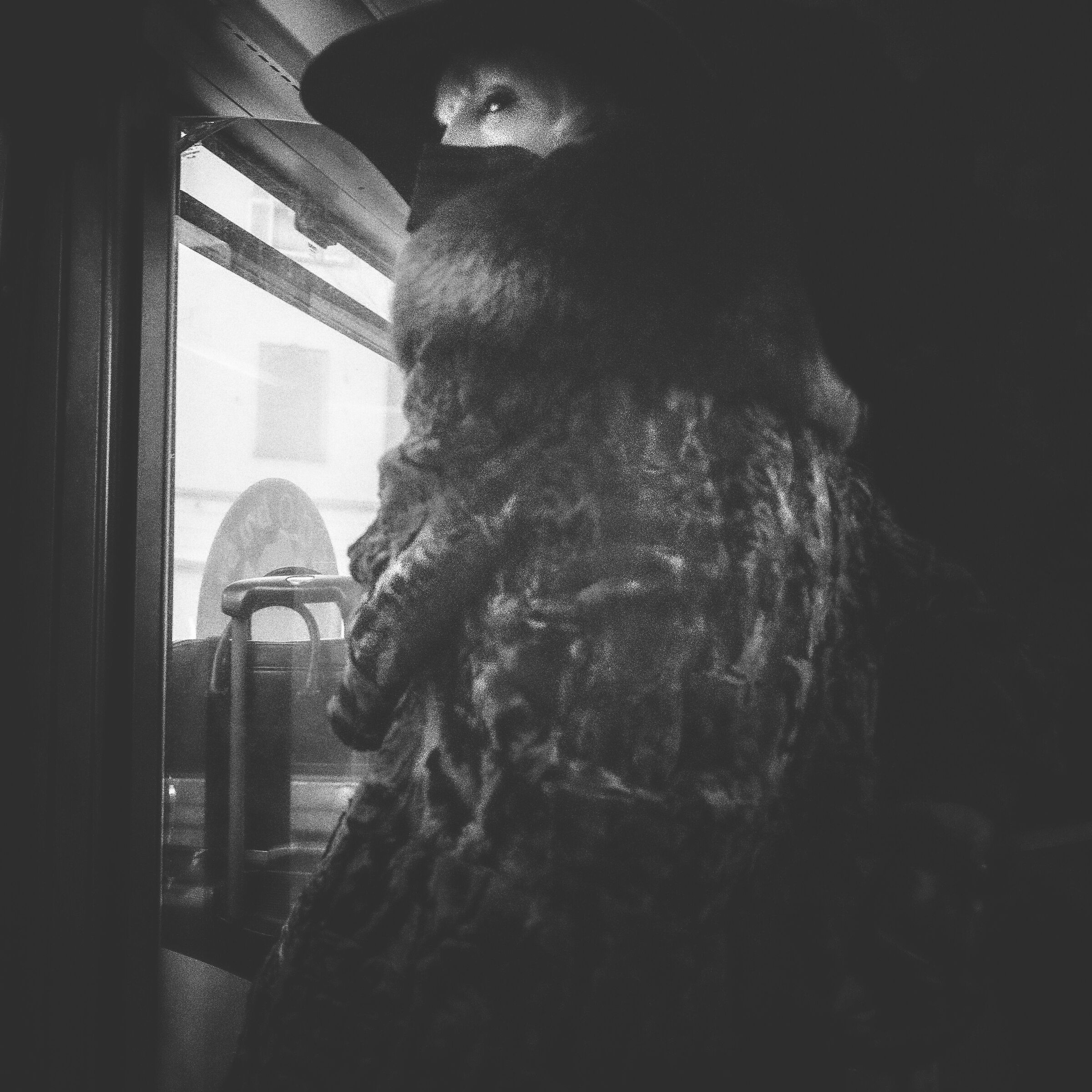 Donna sul Tram. Milano, Gennaio 2022