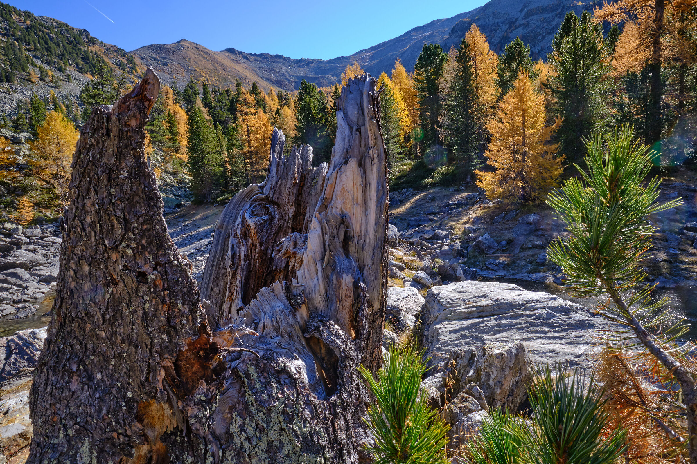dopo il vento - autunno