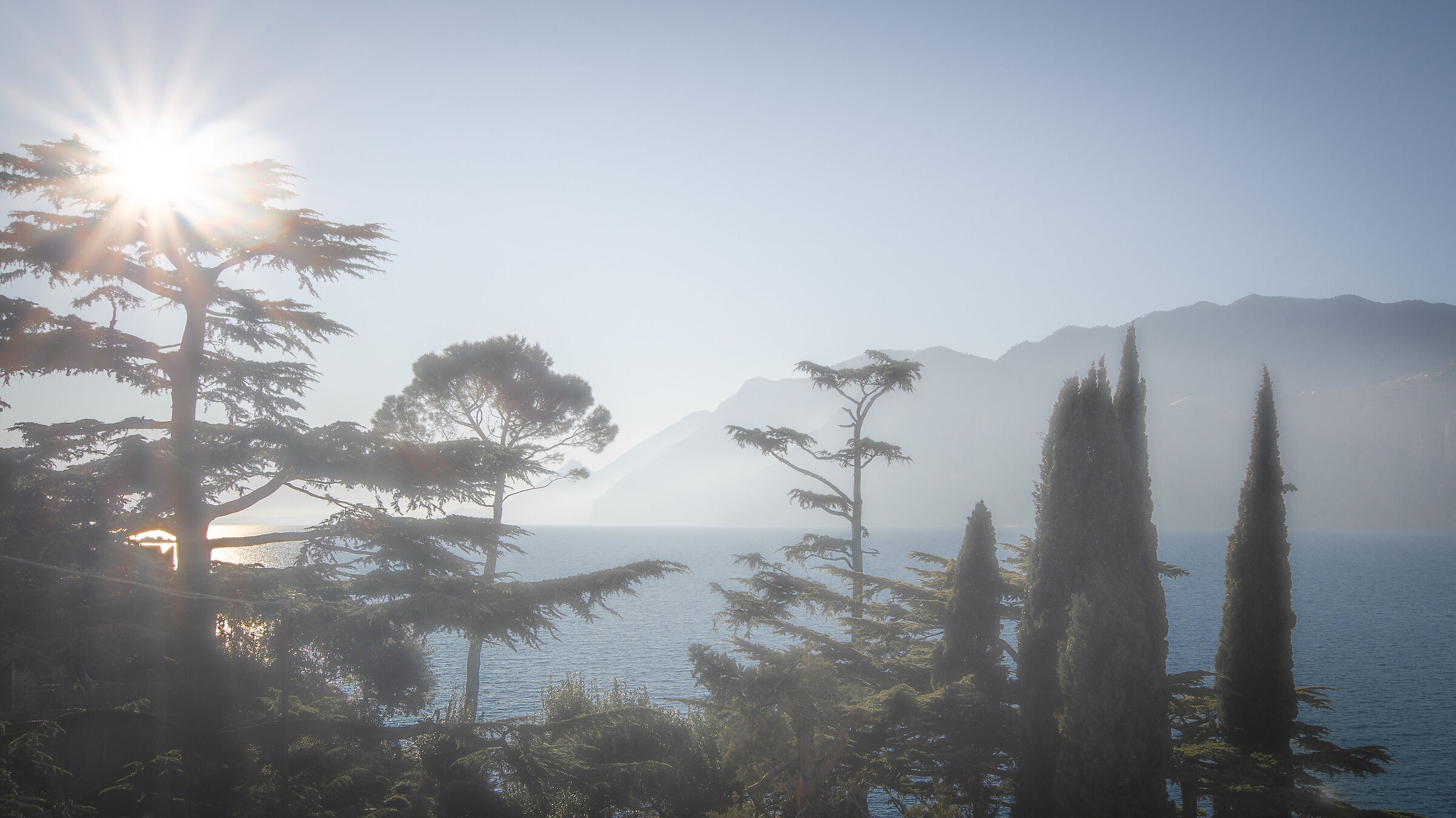 sun and fog on the lake