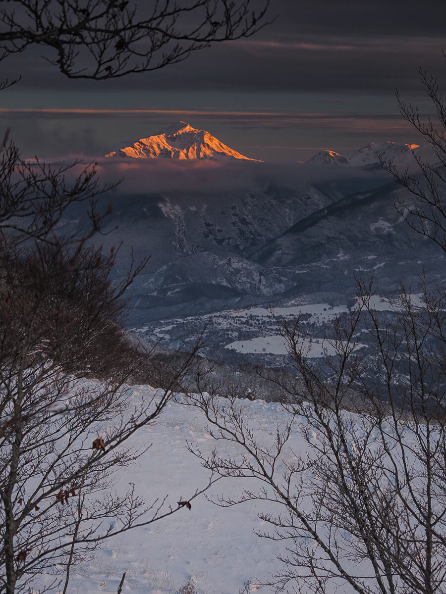Alaska?