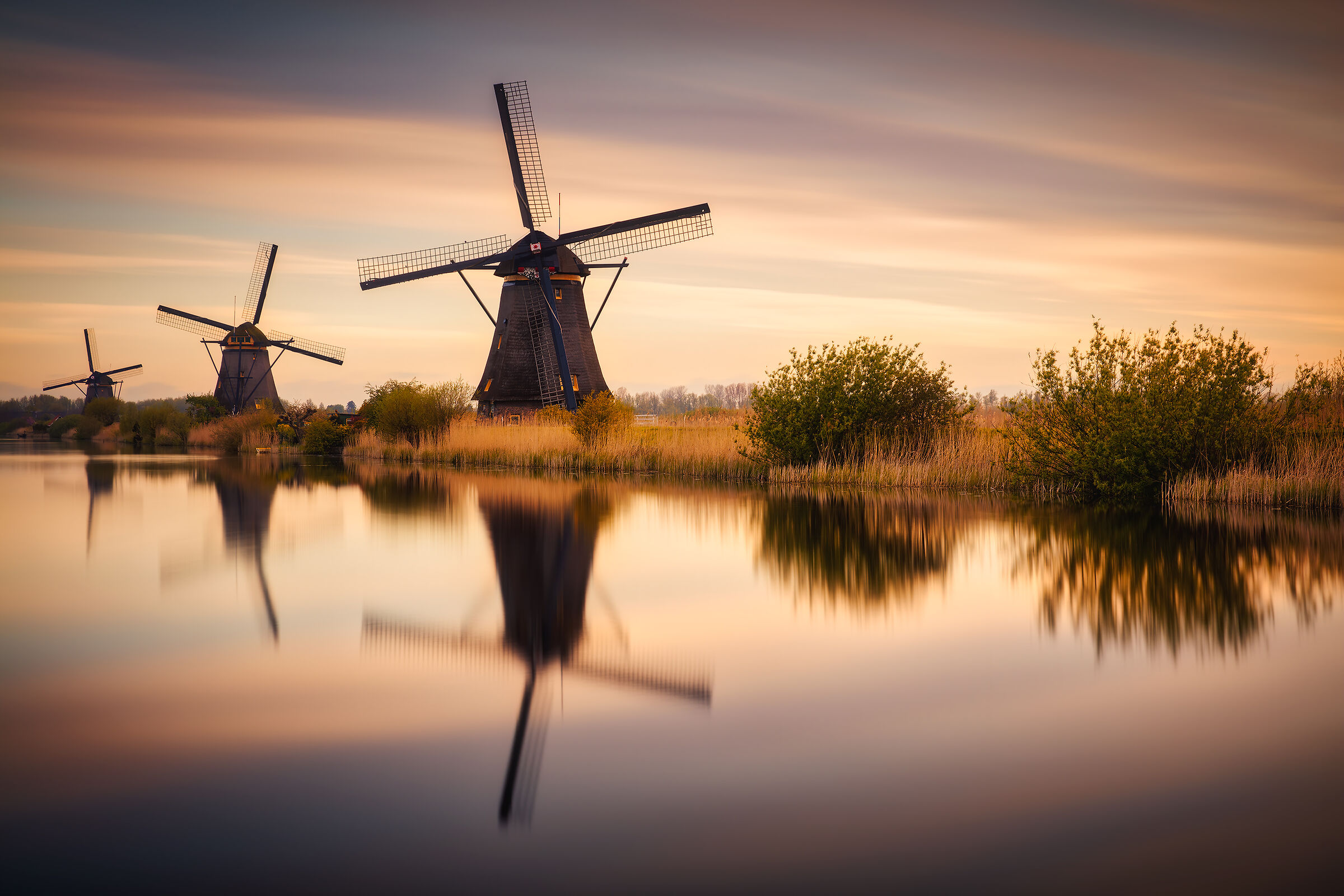 Holland' reflections