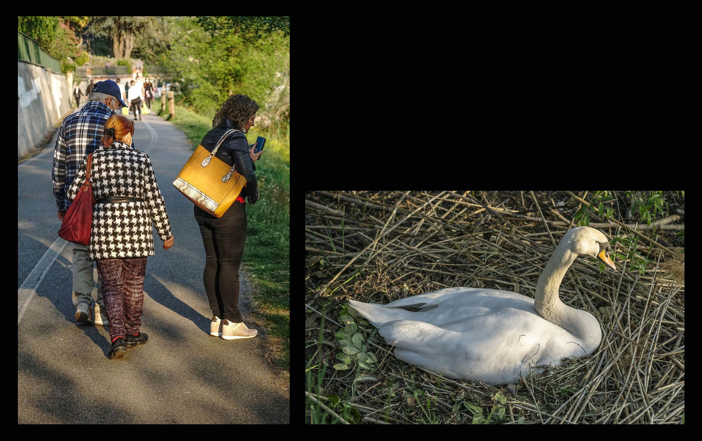 Saturday, 24 April 2021, 18:59