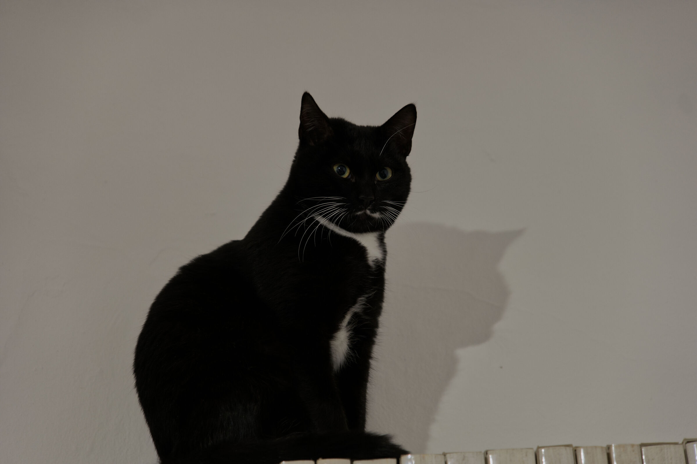 Untitled Photo