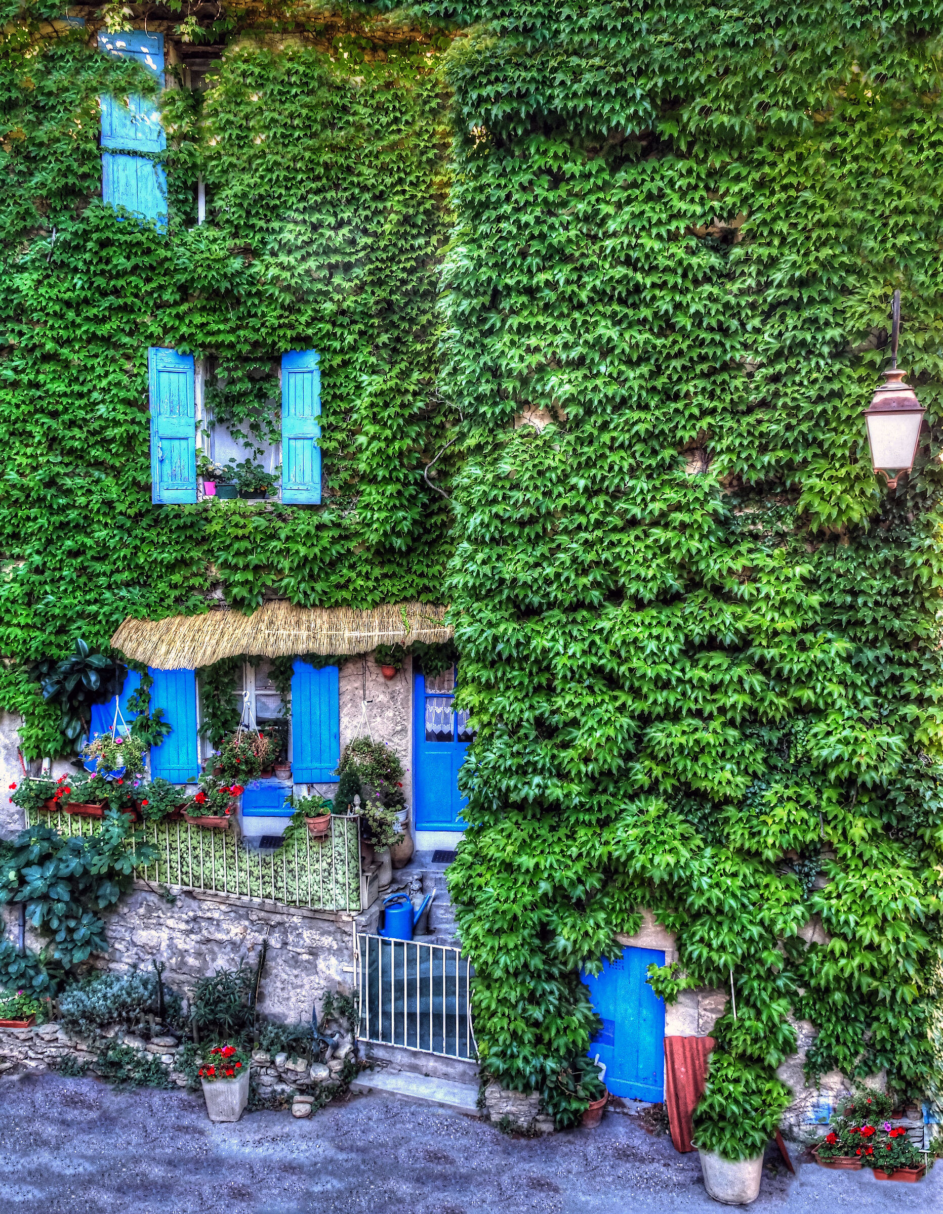 Windows "Colors of Provence"