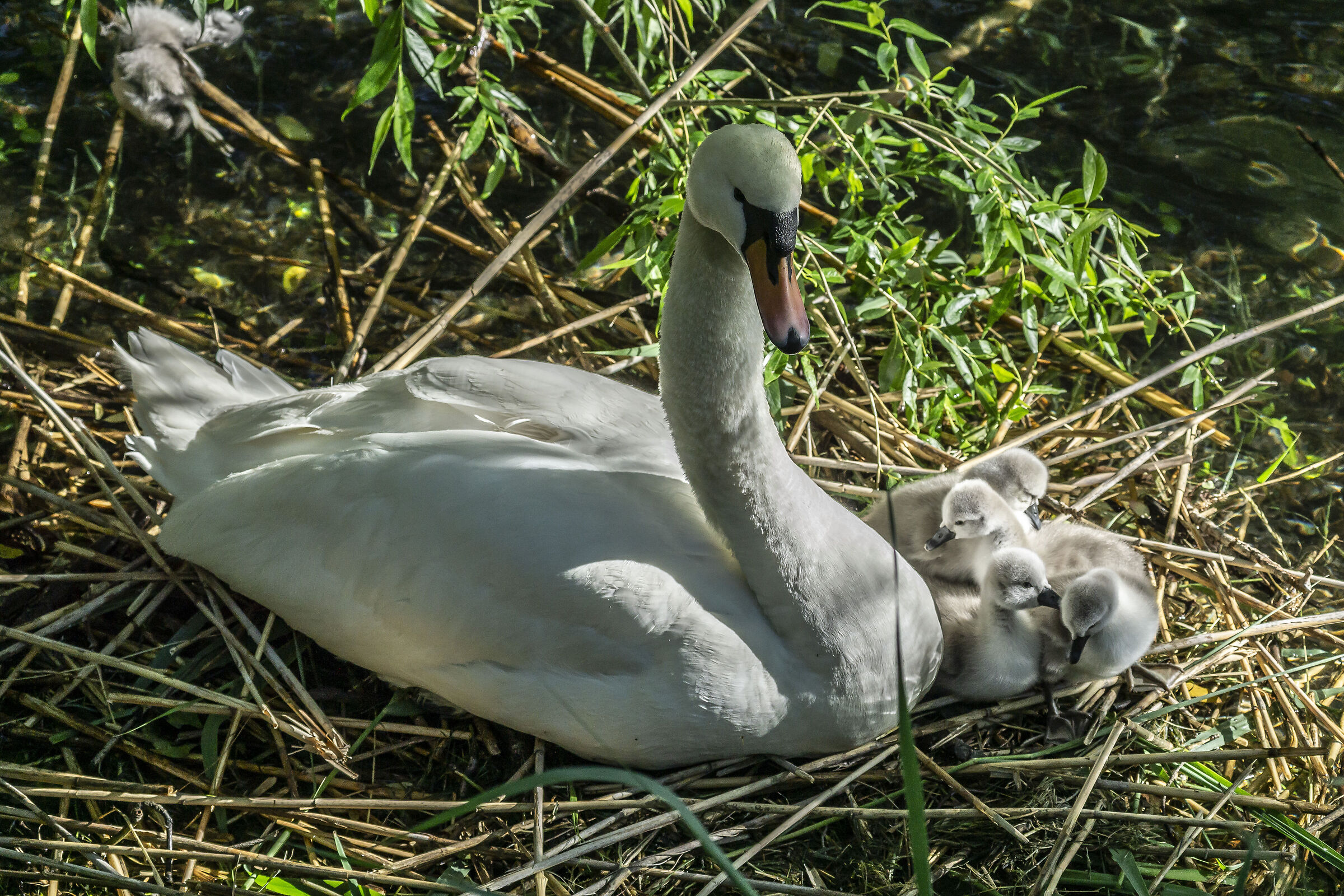 Wednesday, 12 May 2021, 18:12:10