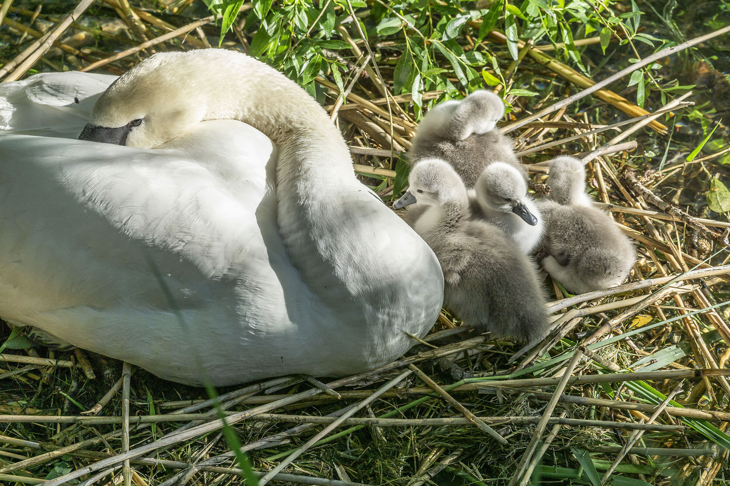 Wednesday, 12 May 2021, 18:13:36