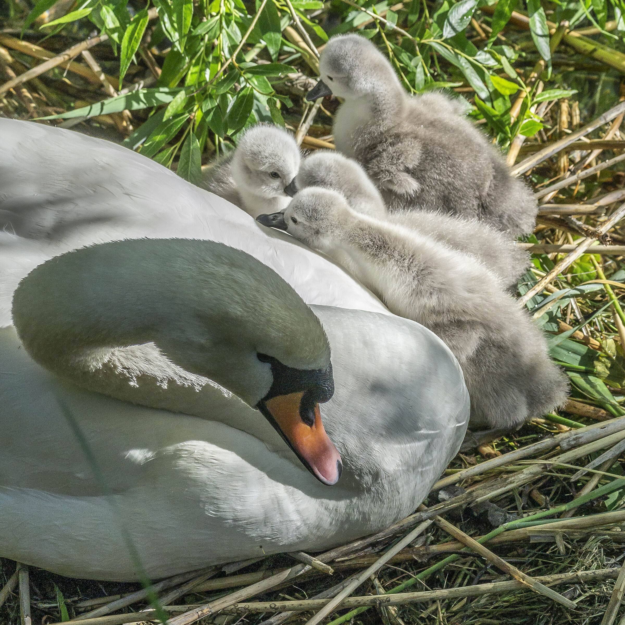 Wednesday, 12 May 2021, 18:14:14