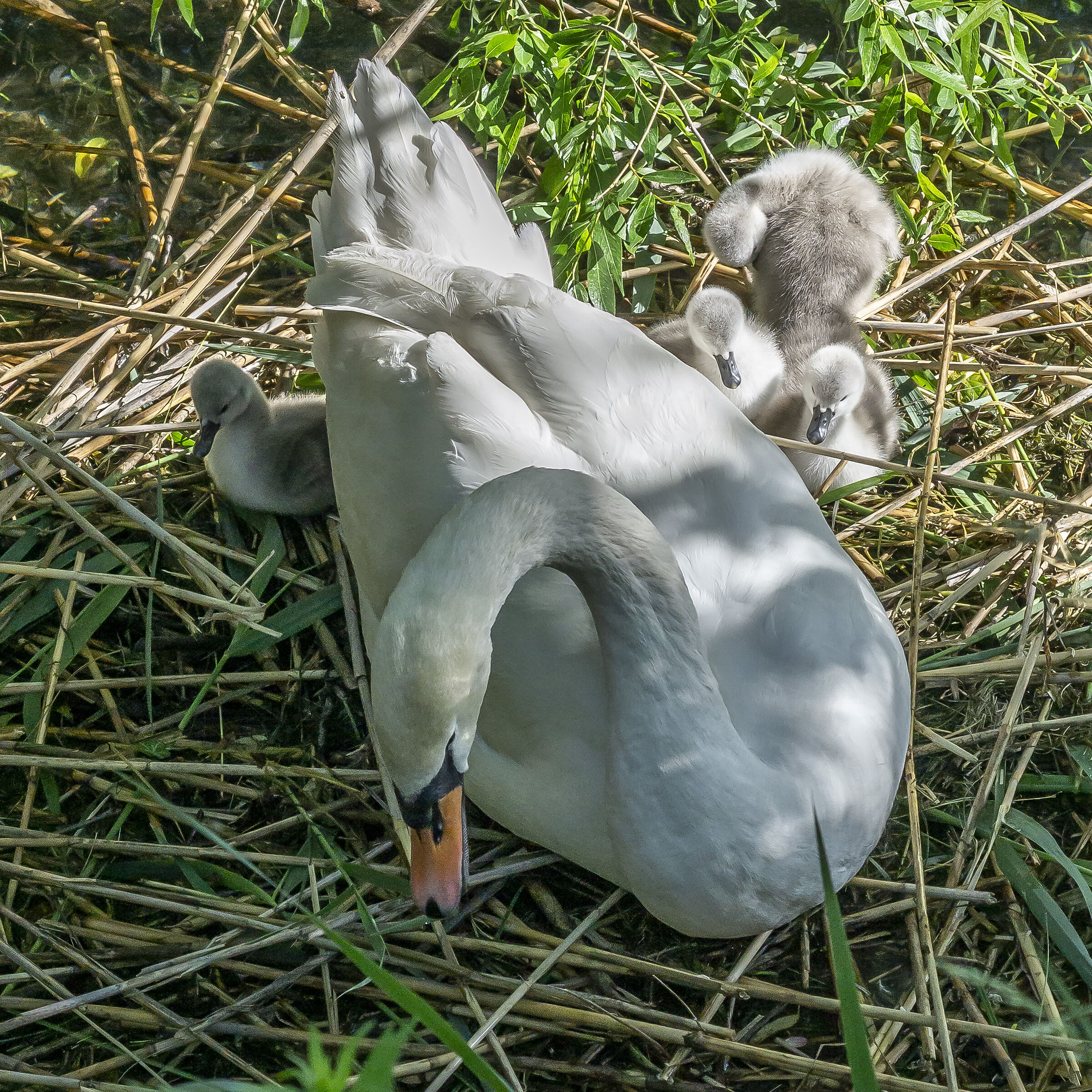 Wednesday, 12 May 2021, 18:15:40