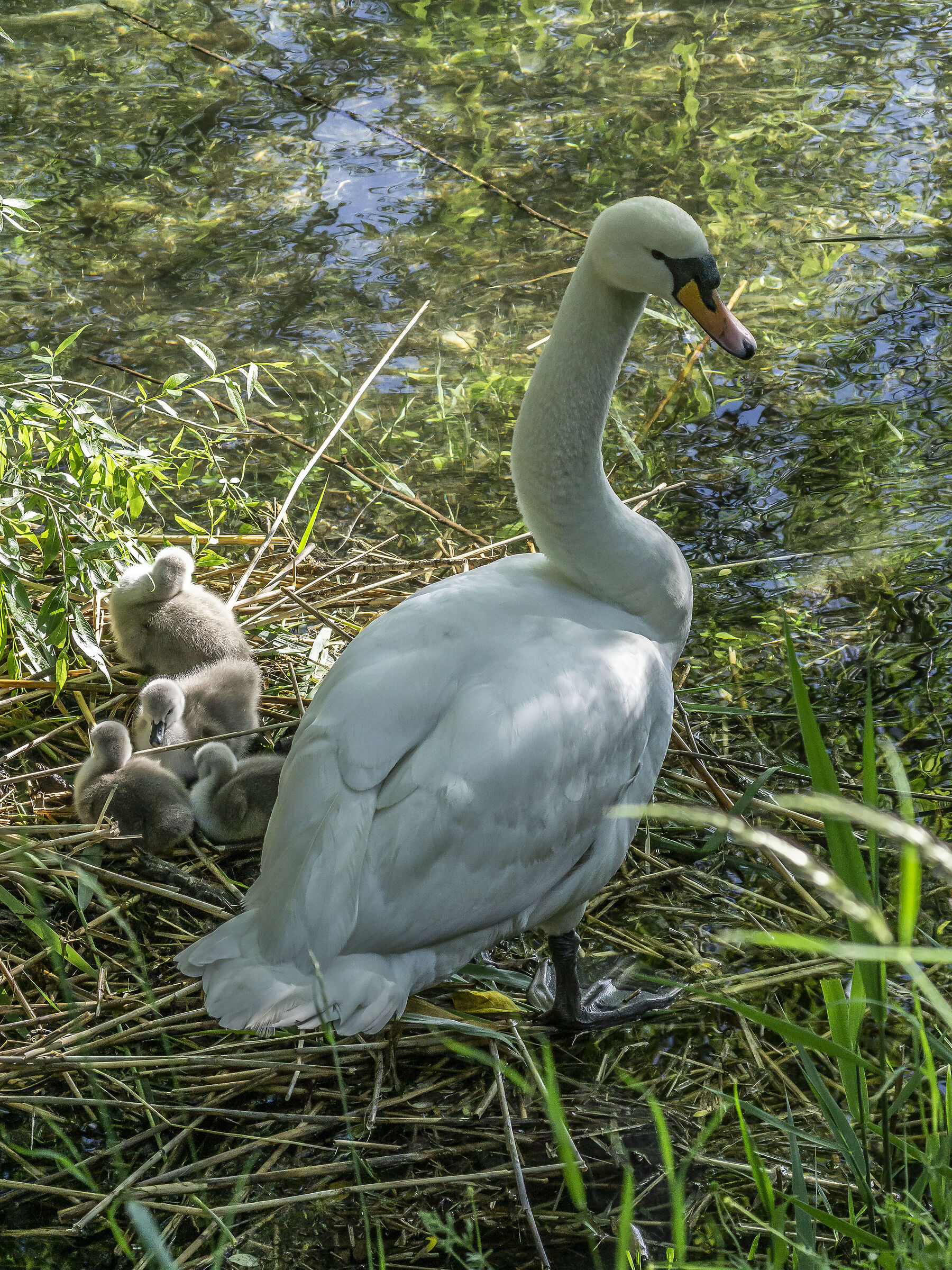 Wednesday, 12 May 2021, 18:19:34