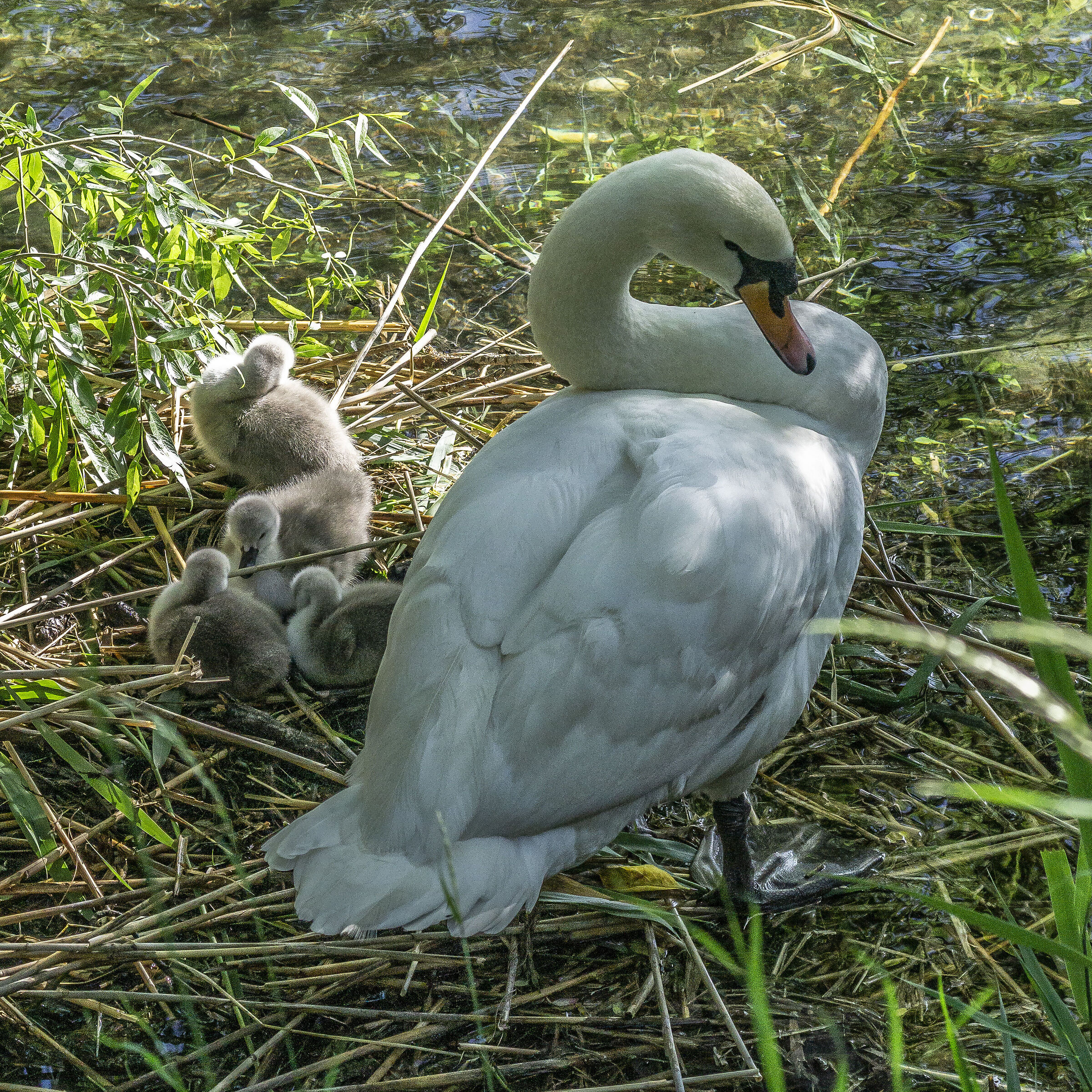 Wednesday, 12 May 2021, 18:19:40