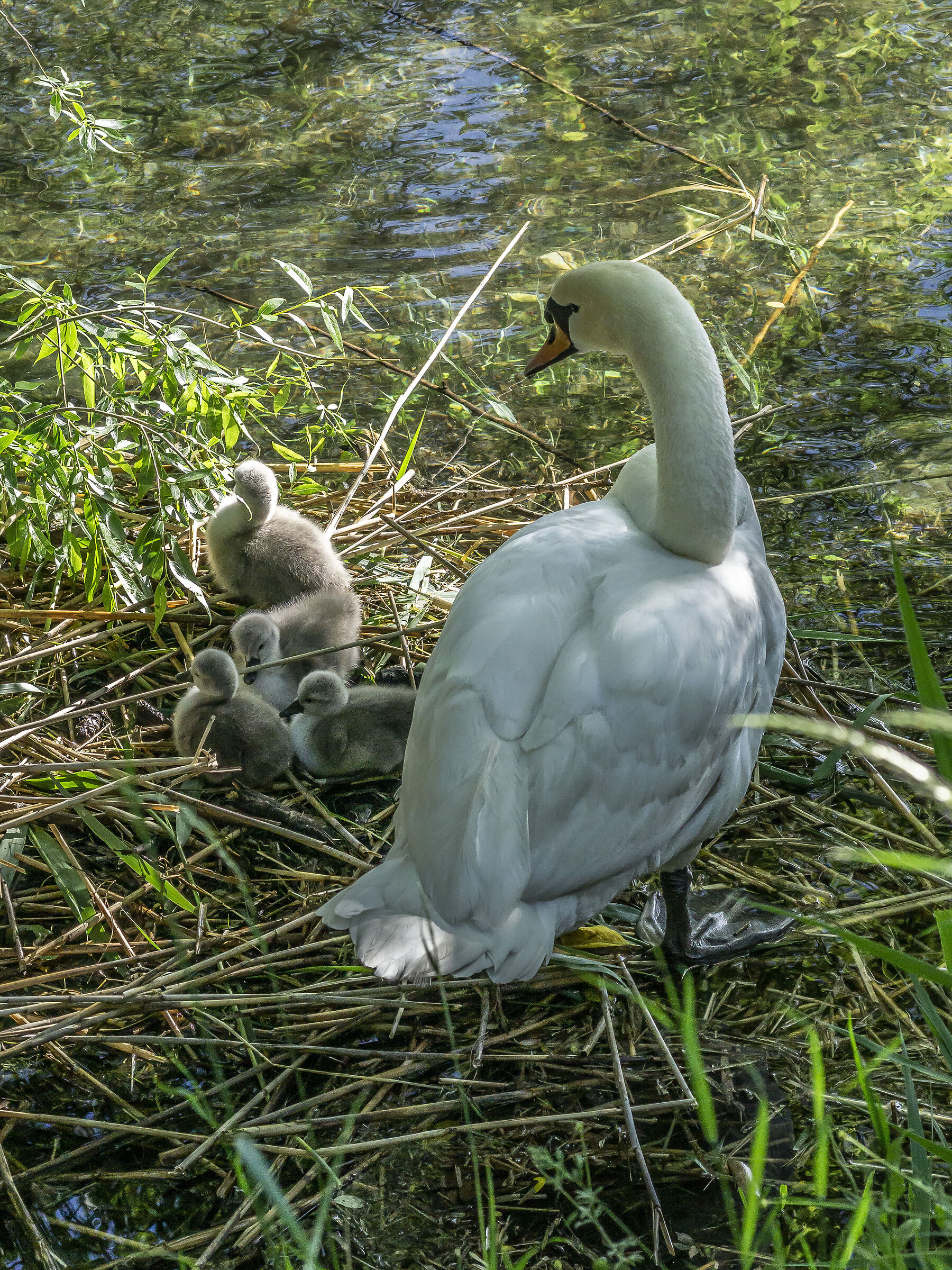 Wednesday, 12 May 2021, 18:19:46