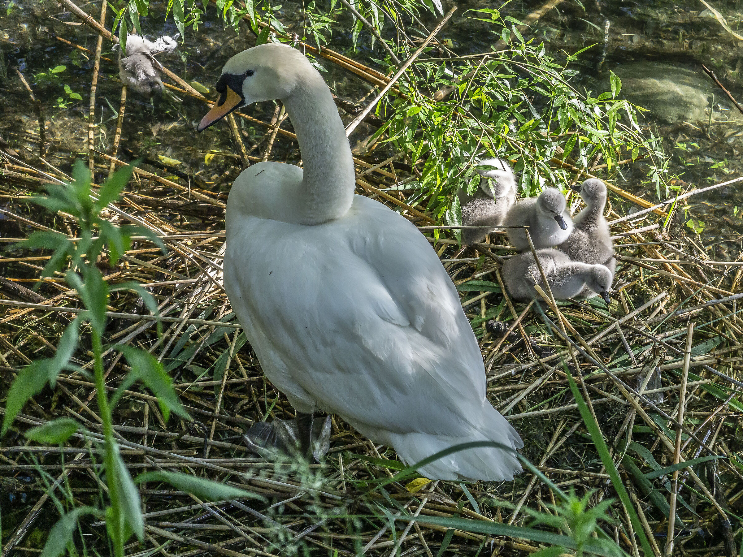 Wednesday, 12 May 2021, 18:22:20