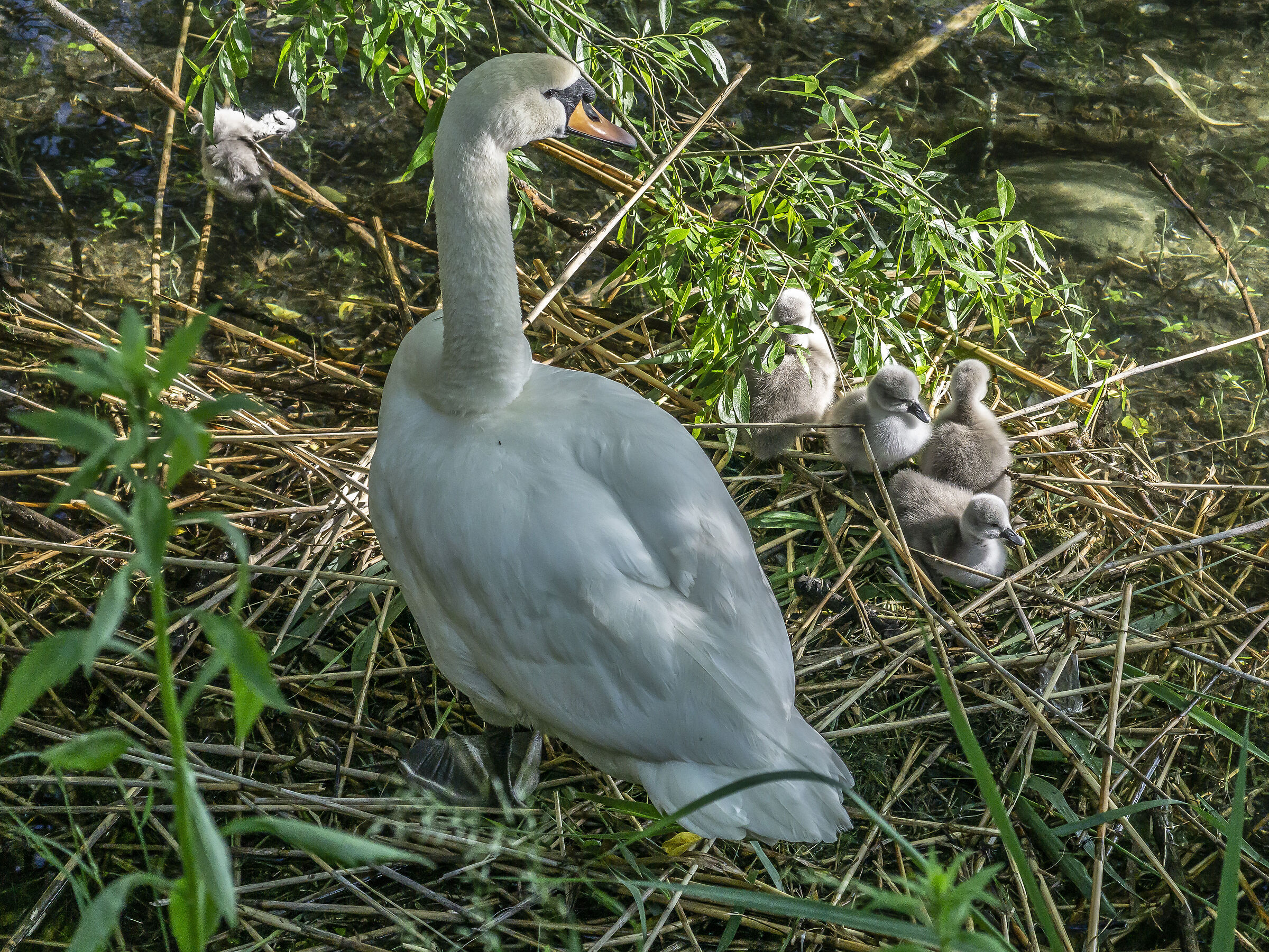 Wednesday, 12 May 2021, 18:22:28