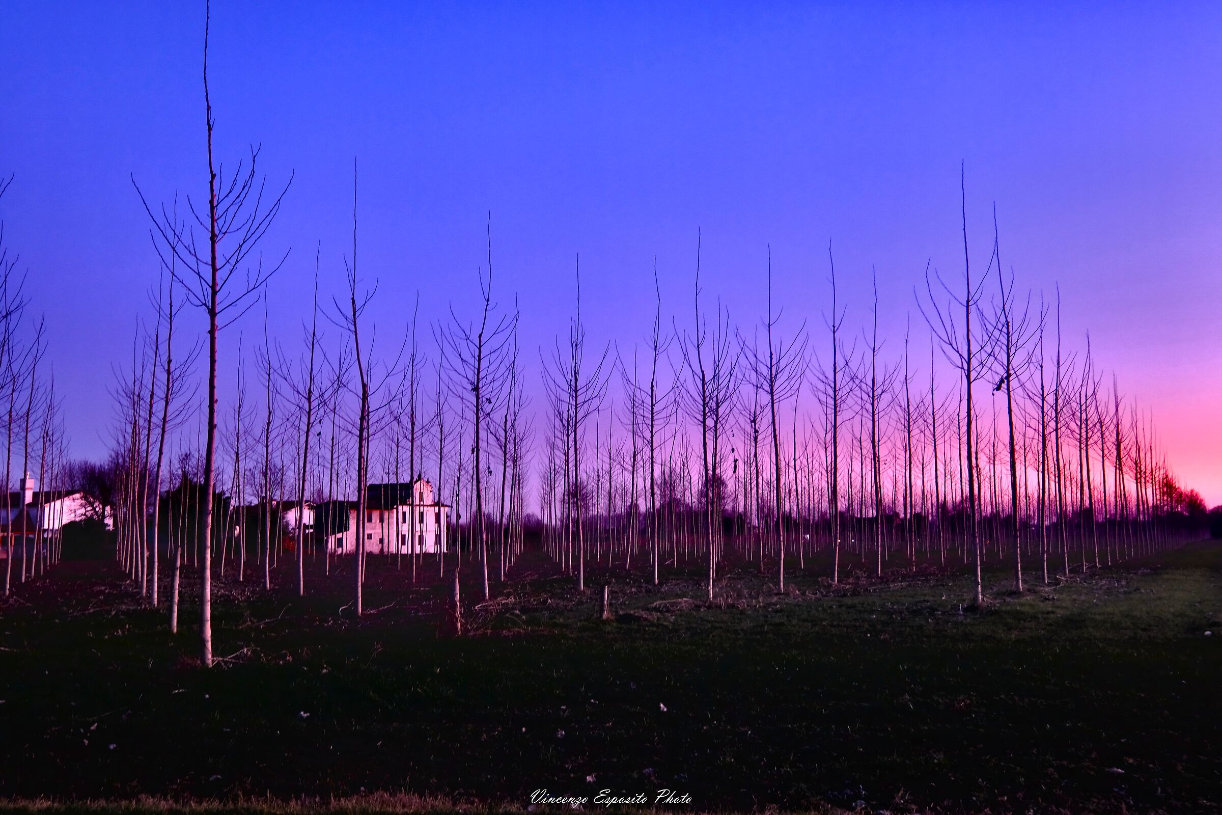 The village and the sunset. A tender love story