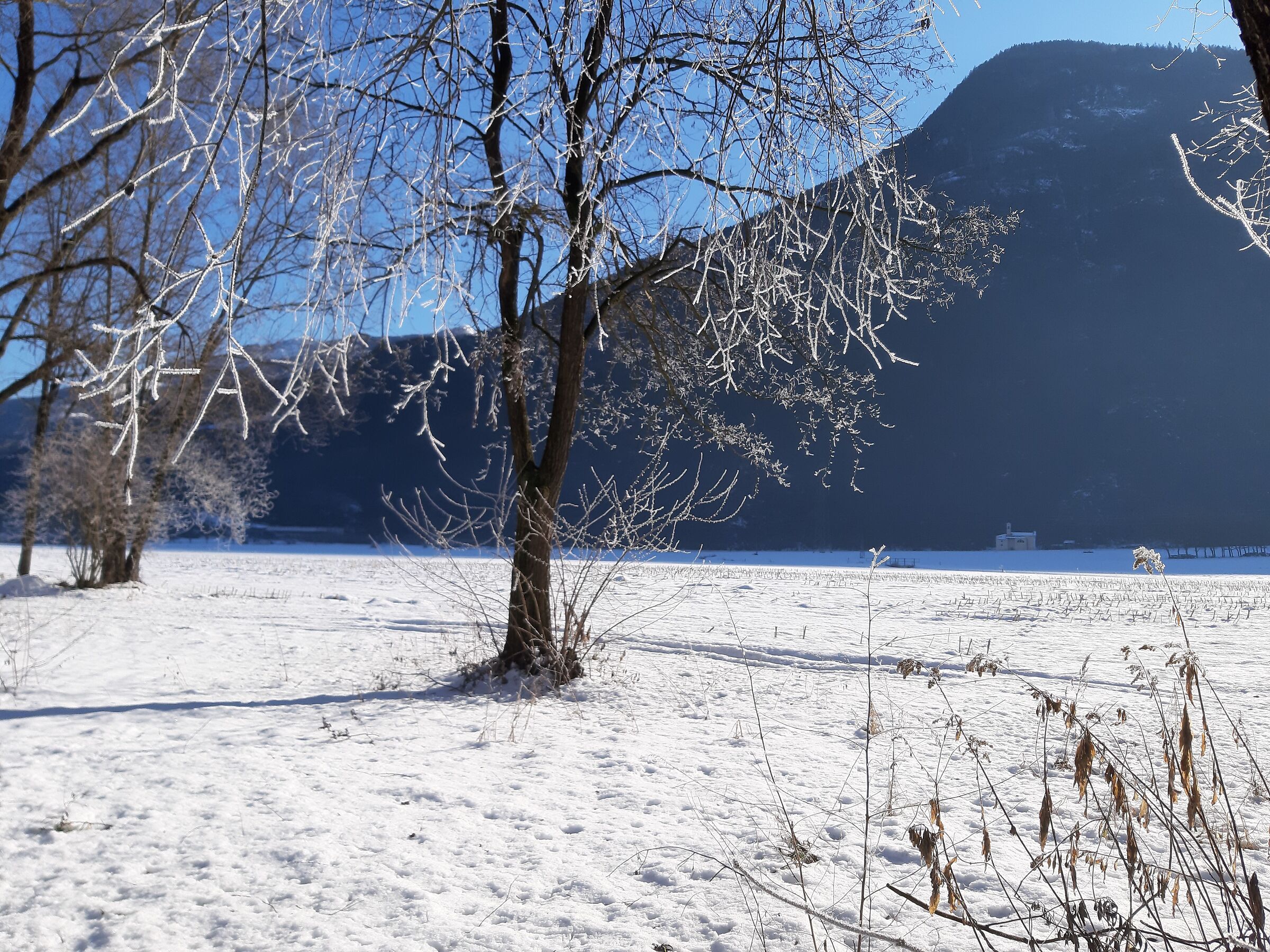 Cedrasco (SO) - Italy