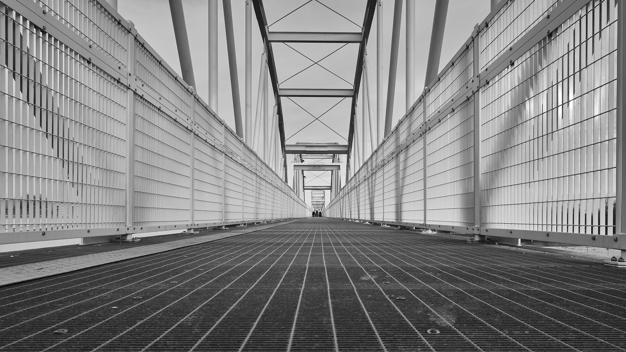 Lines