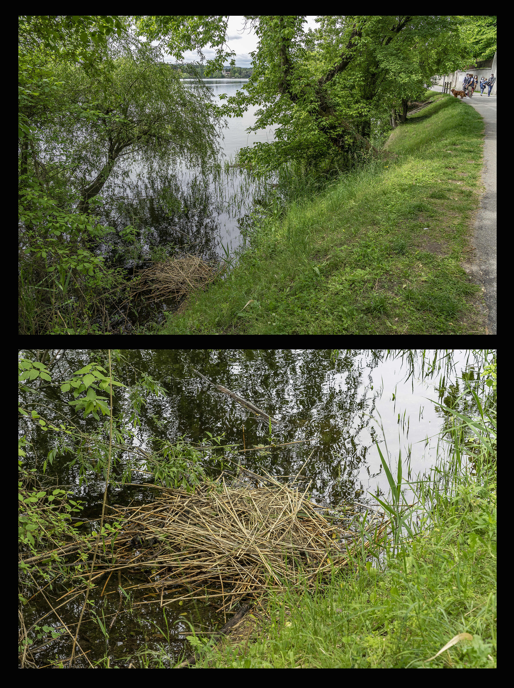 Sunday 16 May 2021, 11:41:08-18