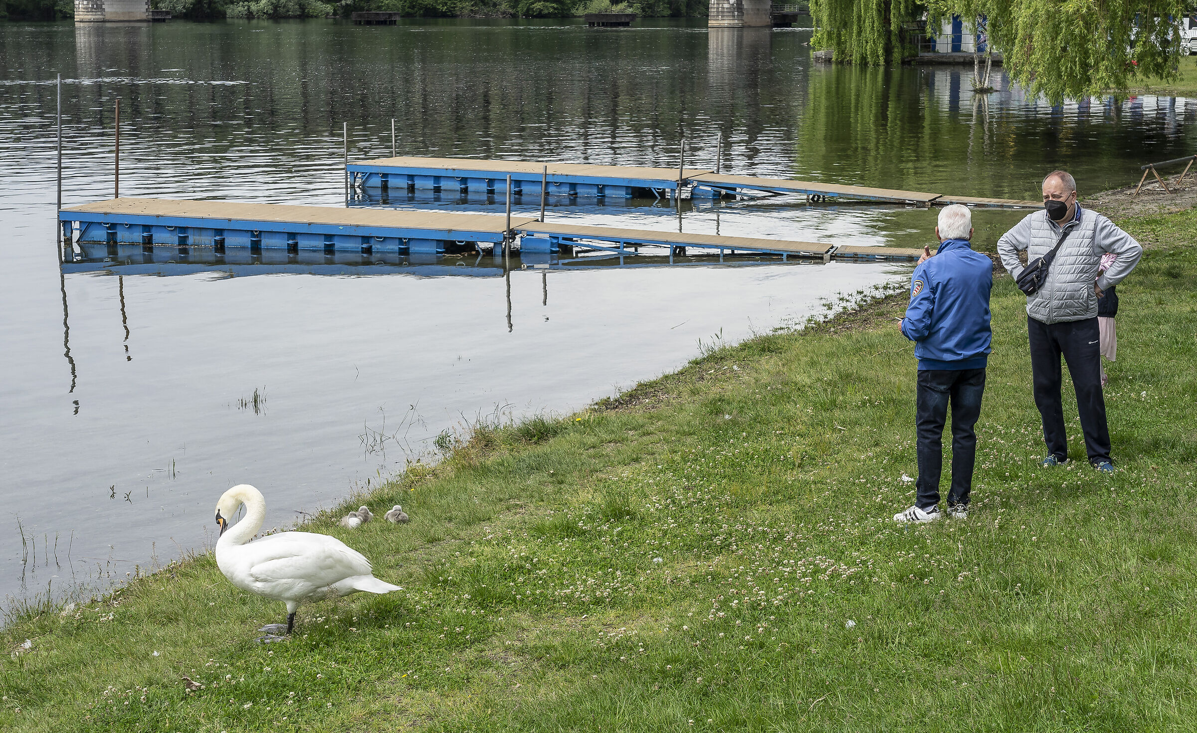 Sunday, 16 May 2021, 11:52:48