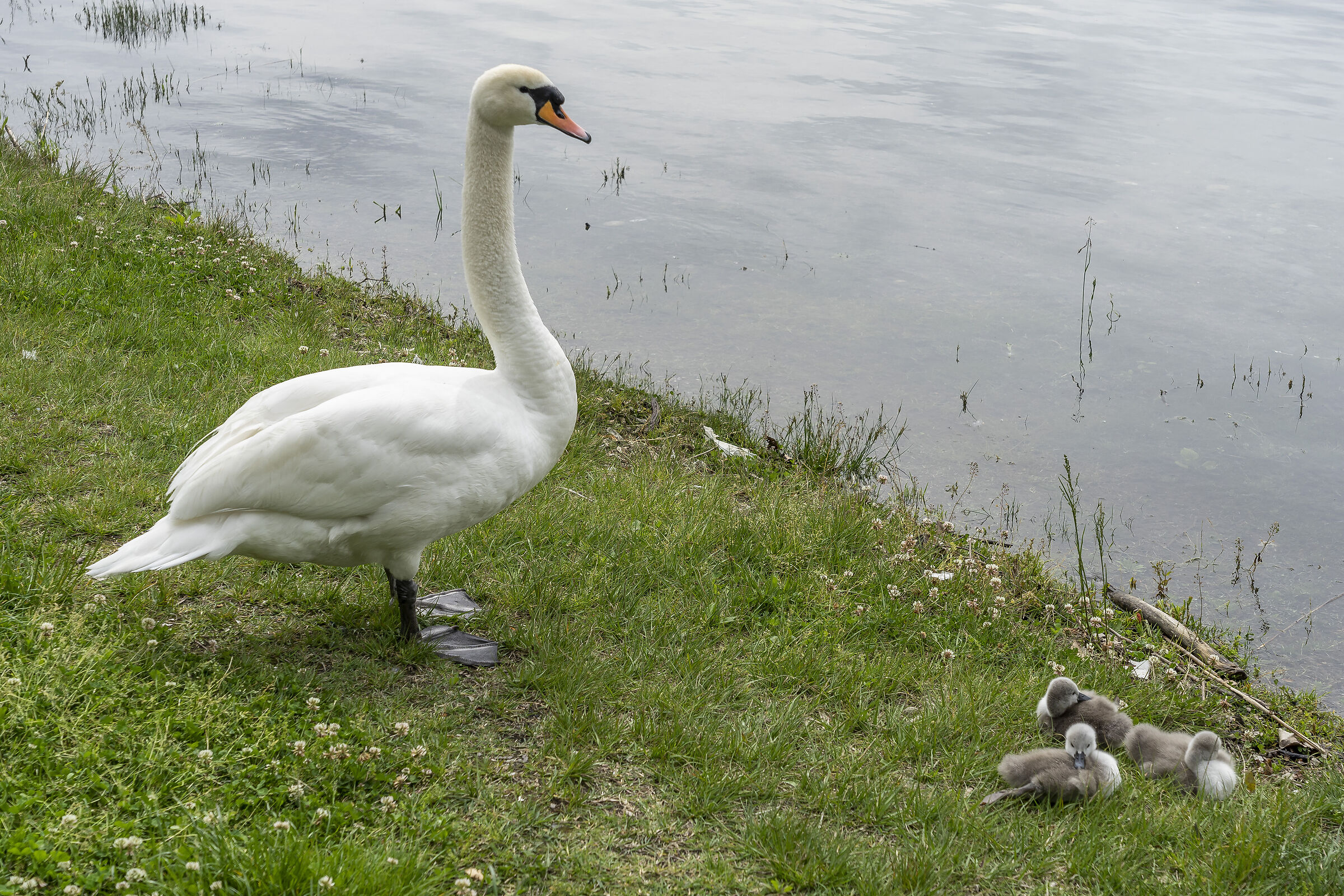 Sunday, 16 May 2021, 11:53:54