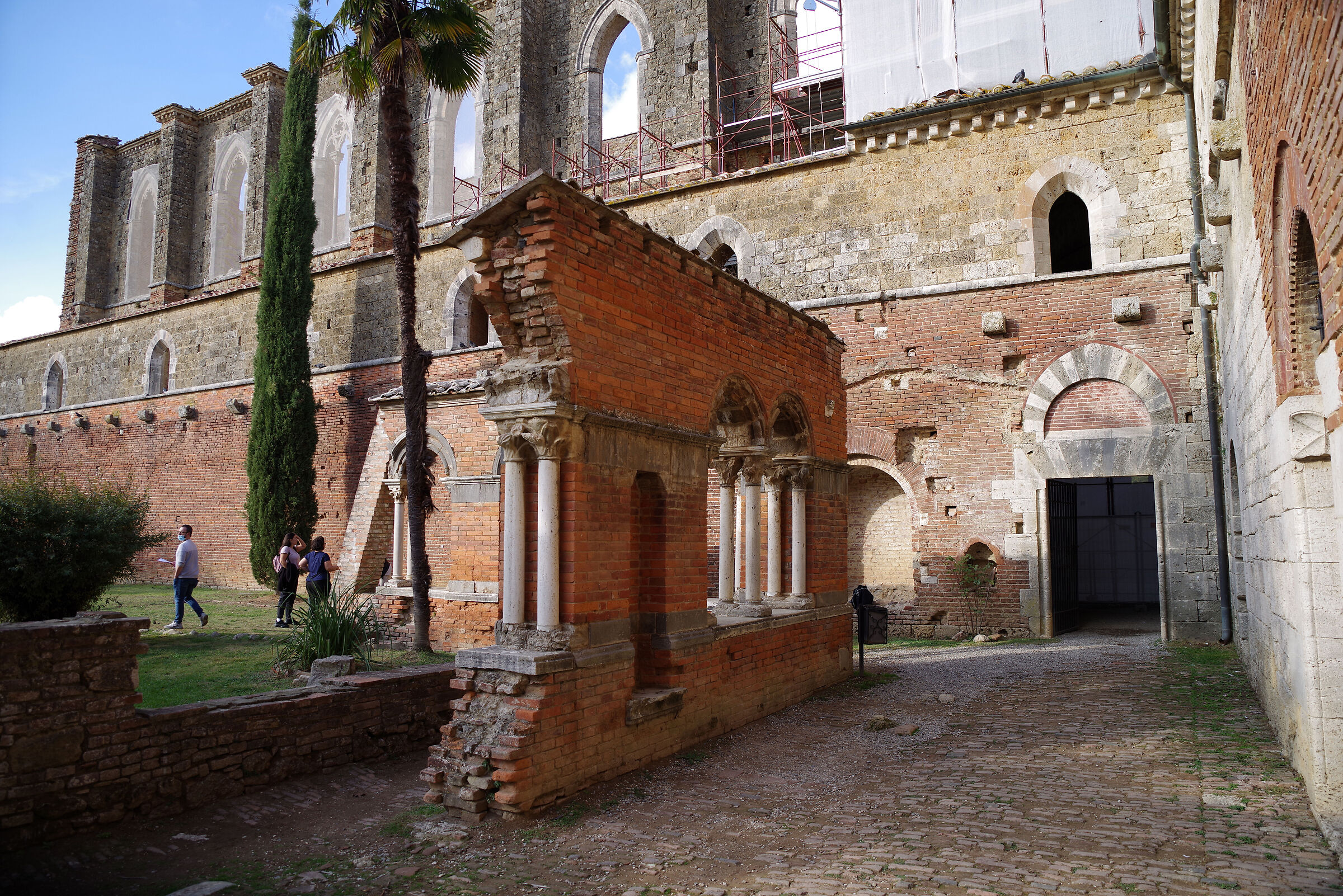 Abbazia di San Galgano (Siena)