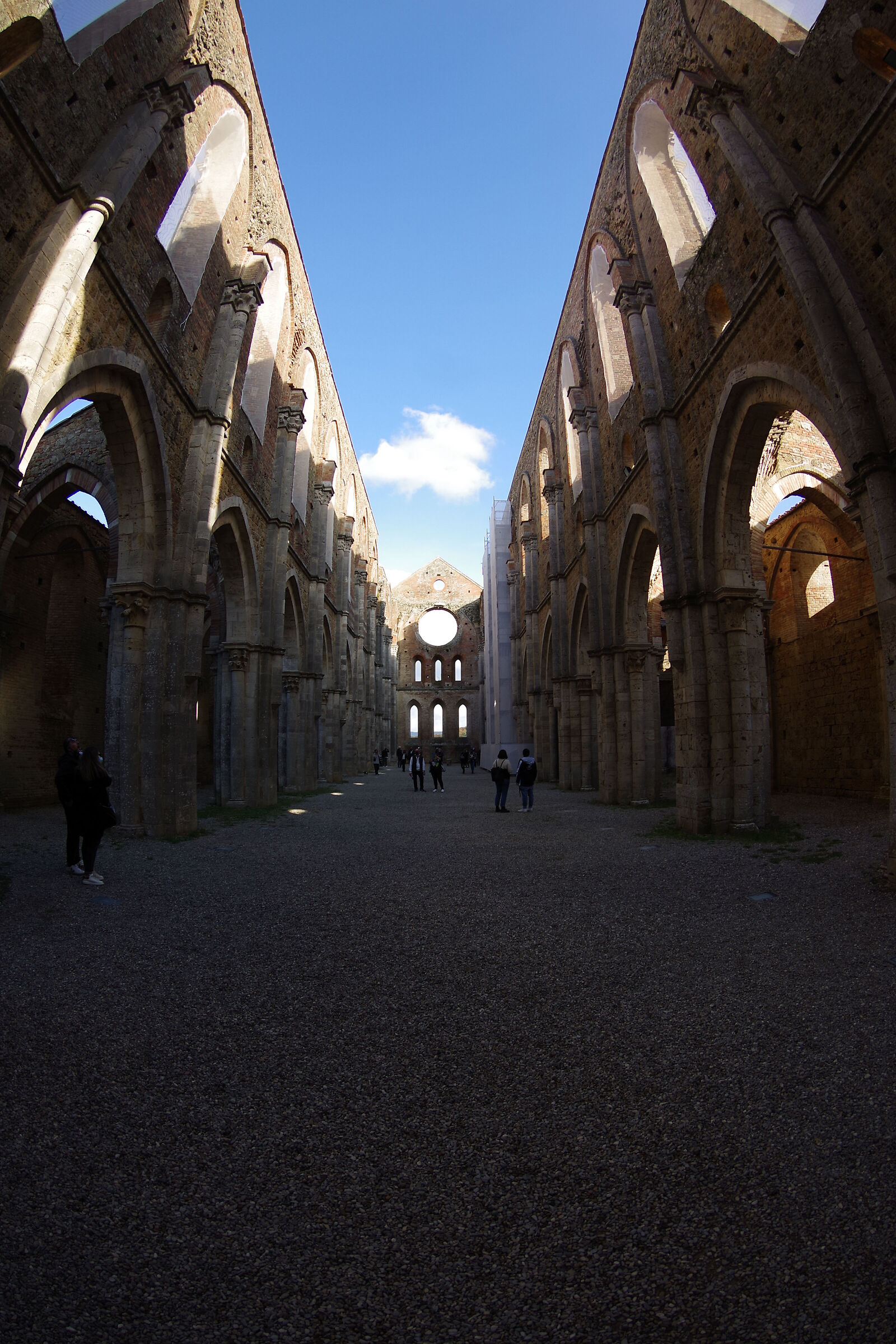 Abbazia di San Galgano (Siena)