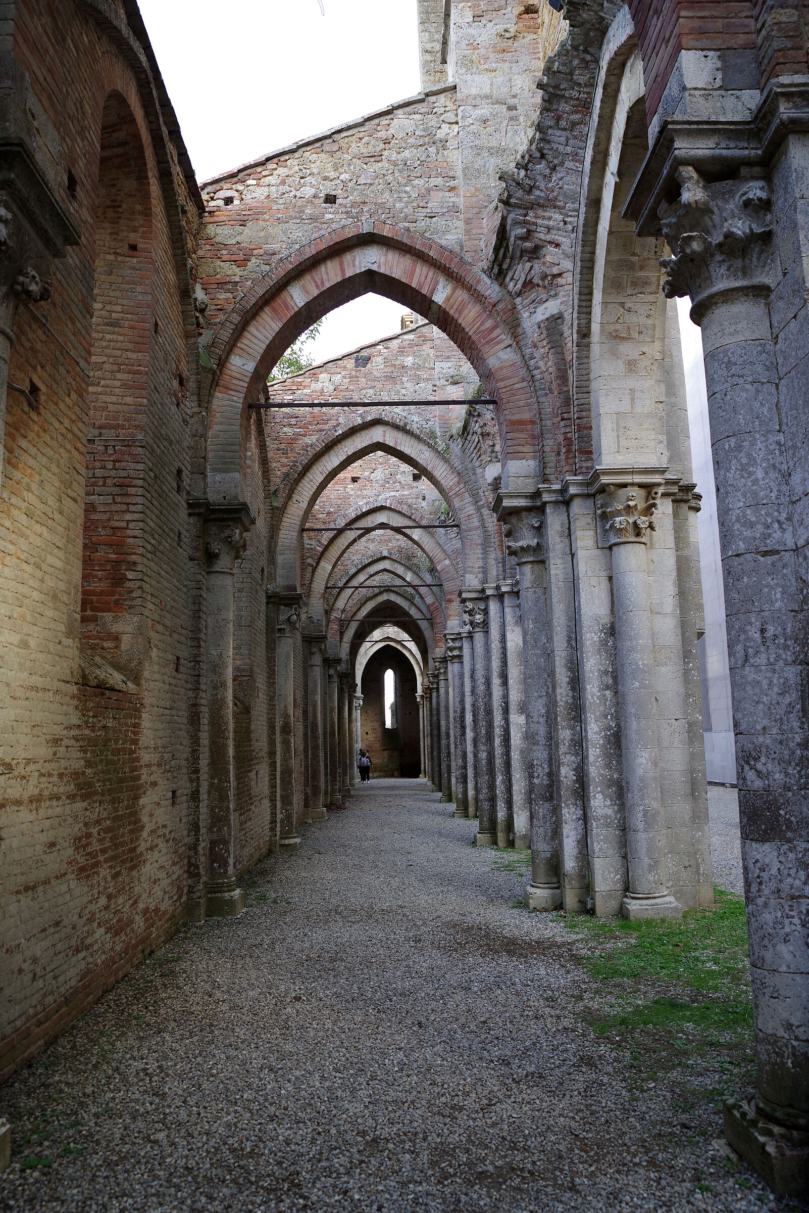Abbazia di San Galgano (Siena)